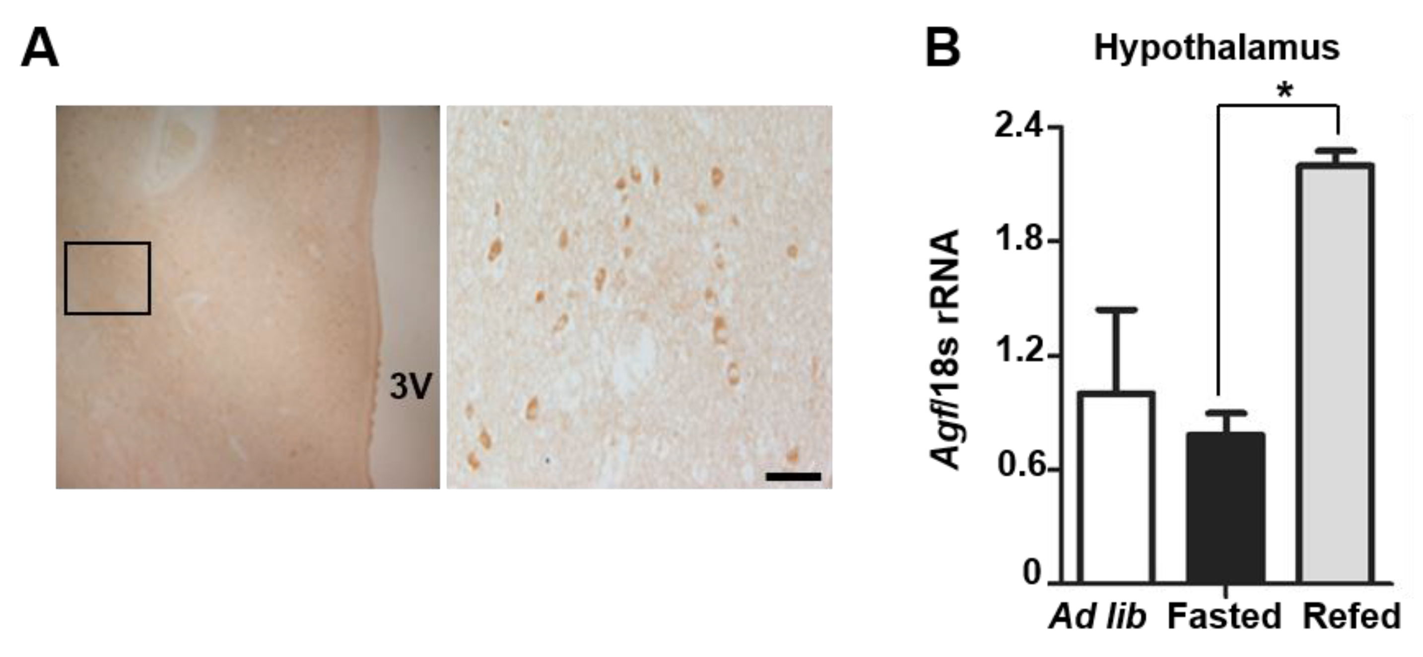 Ijms 22 03443 g001 Ijms 22 03443 g001