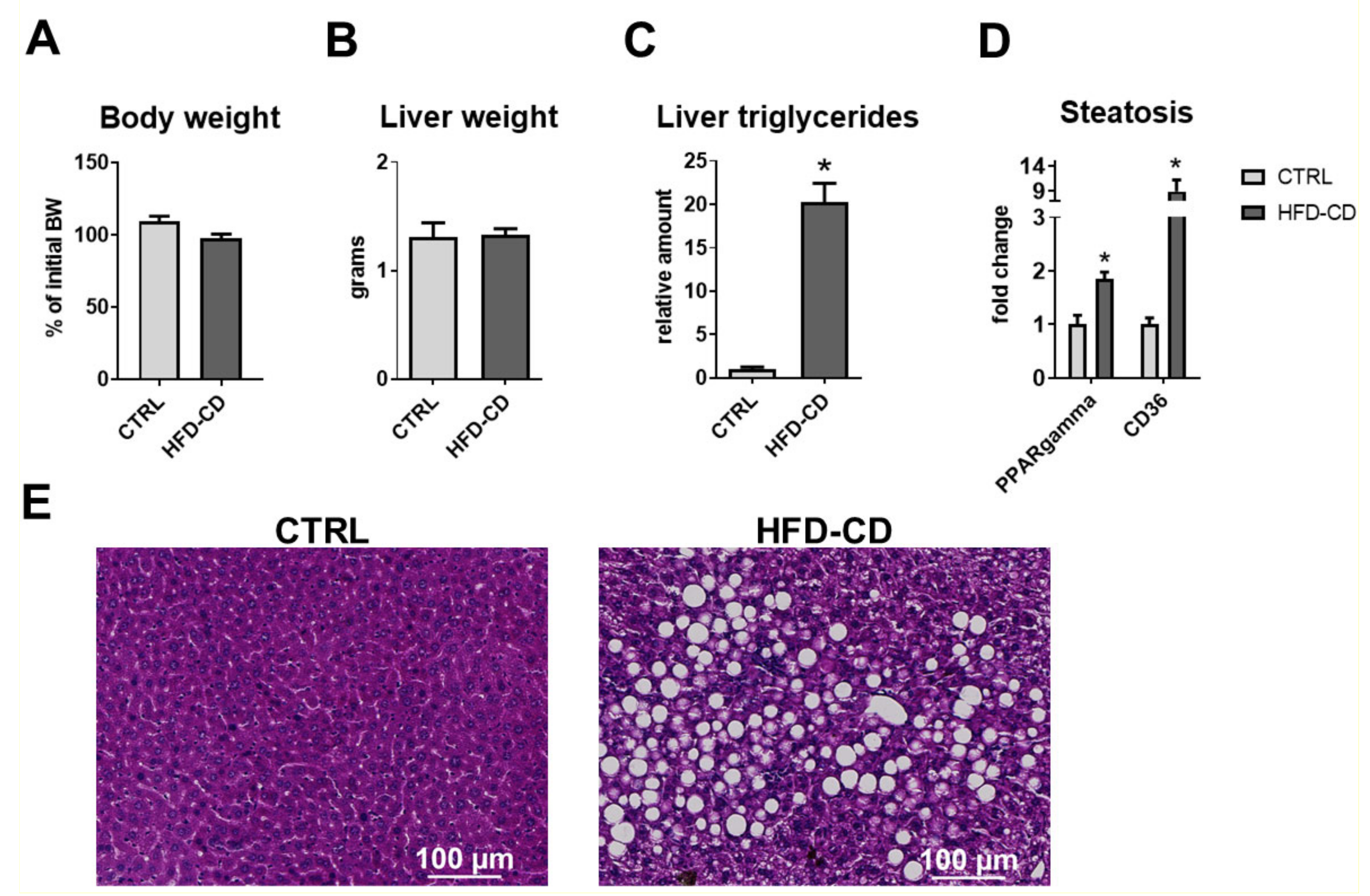 IJMS | Free Full-Text | Hepatic Senescence Accompanies the Development of  NAFLD in Non-Aged Mice Independently of Obesity | HTML