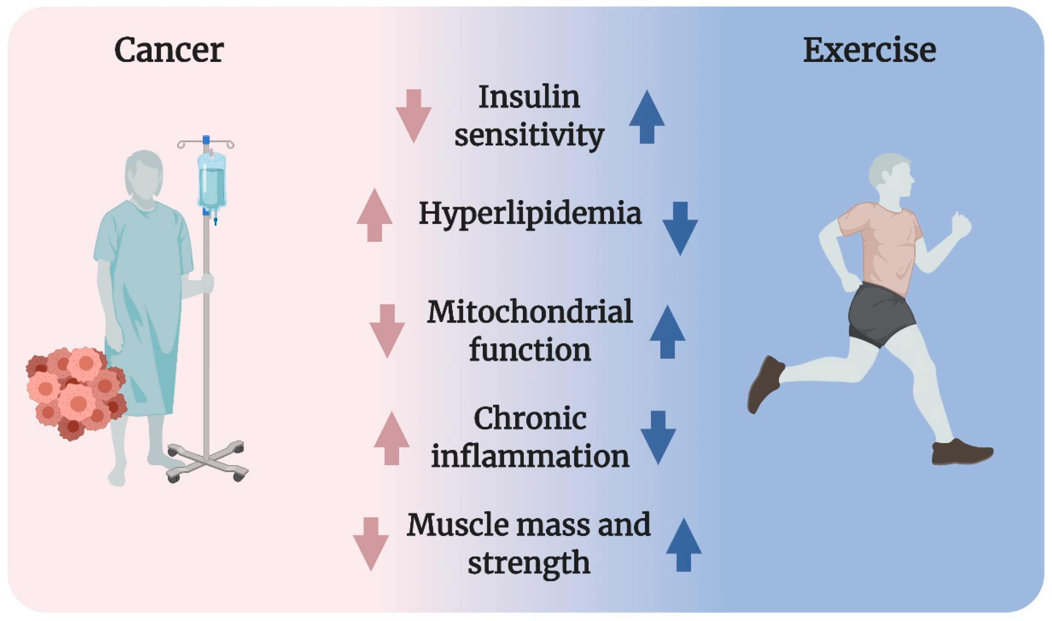 IJMS | Free Full-Text | Exercise—A Panacea of Metabolic Dysregulation in  Cancer: Physiological and Molecular Insights