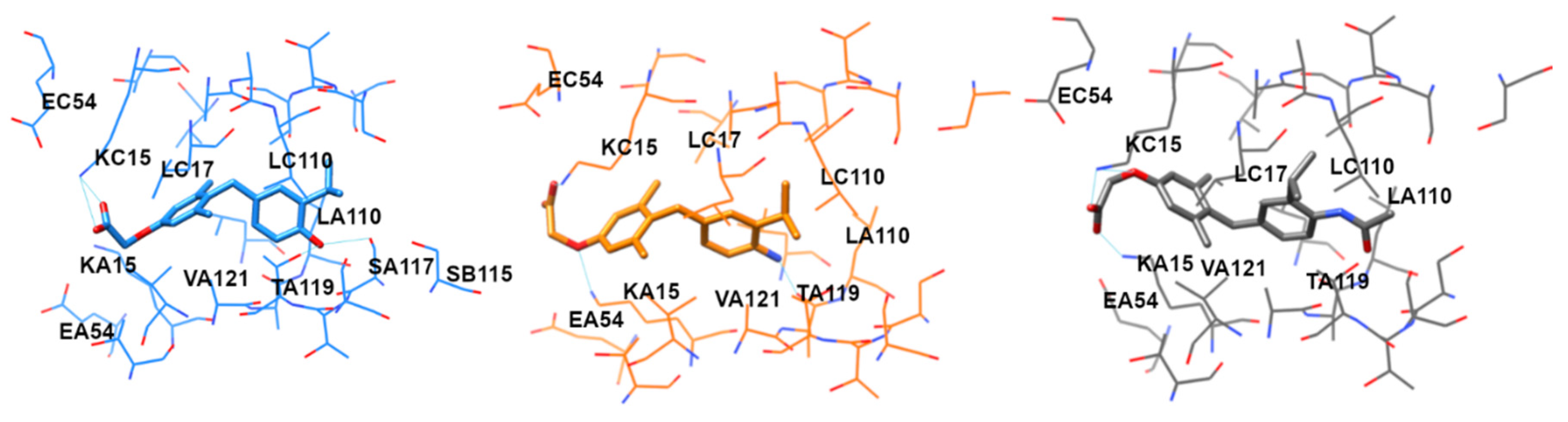 Ijms 22 03488 g004 Ijms 22 03488 g004
