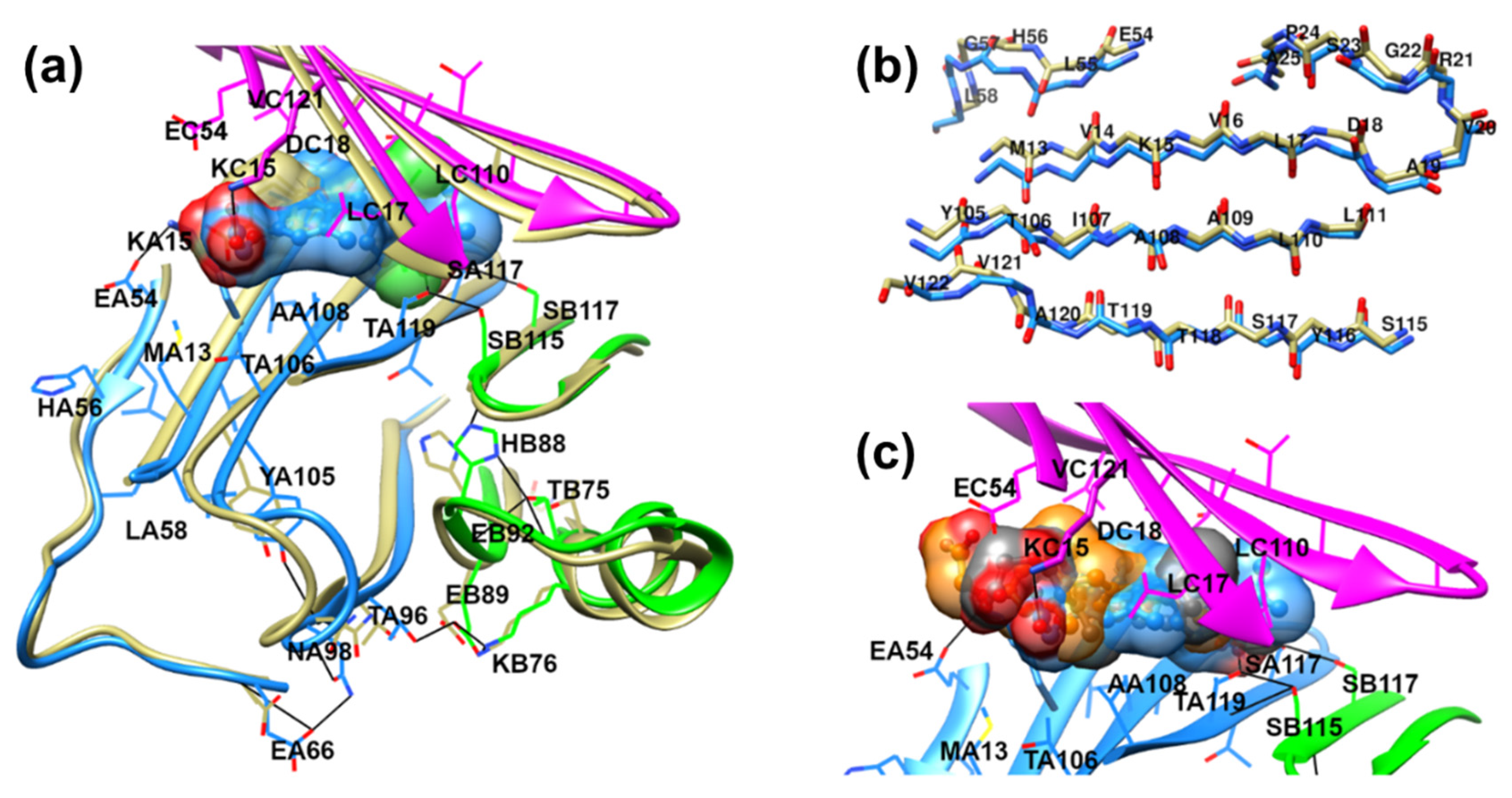 Ijms 22 03488 g005 Ijms 22 03488 g005
