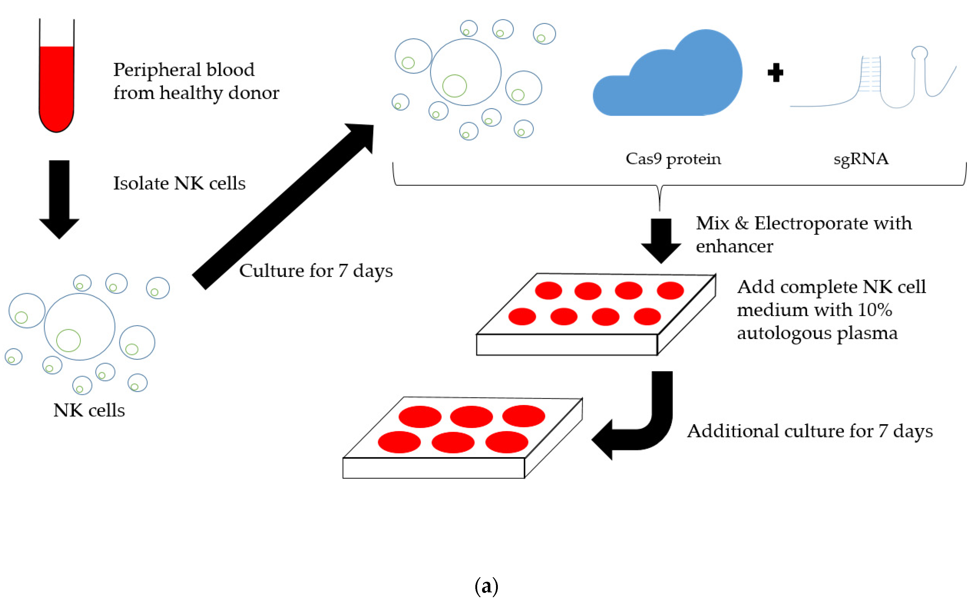 Ijms 22 03489 g003a Ijms 22 03489 g003a