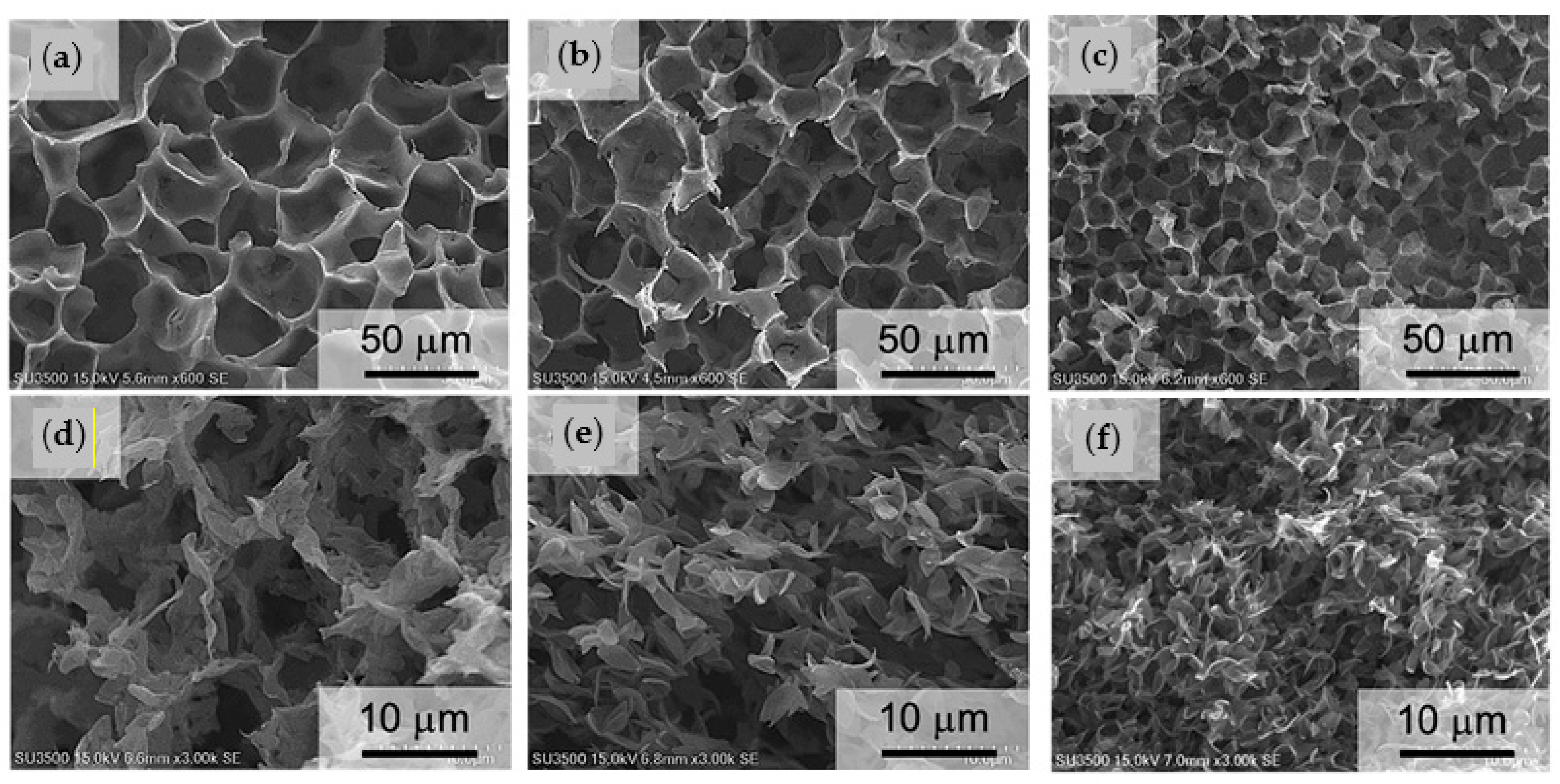 Ijms Free Full Text Recent Progress On Biodegradable Tissue Engineering Scaffolds Prepared By Thermally Induced Phase Separation Tips Html