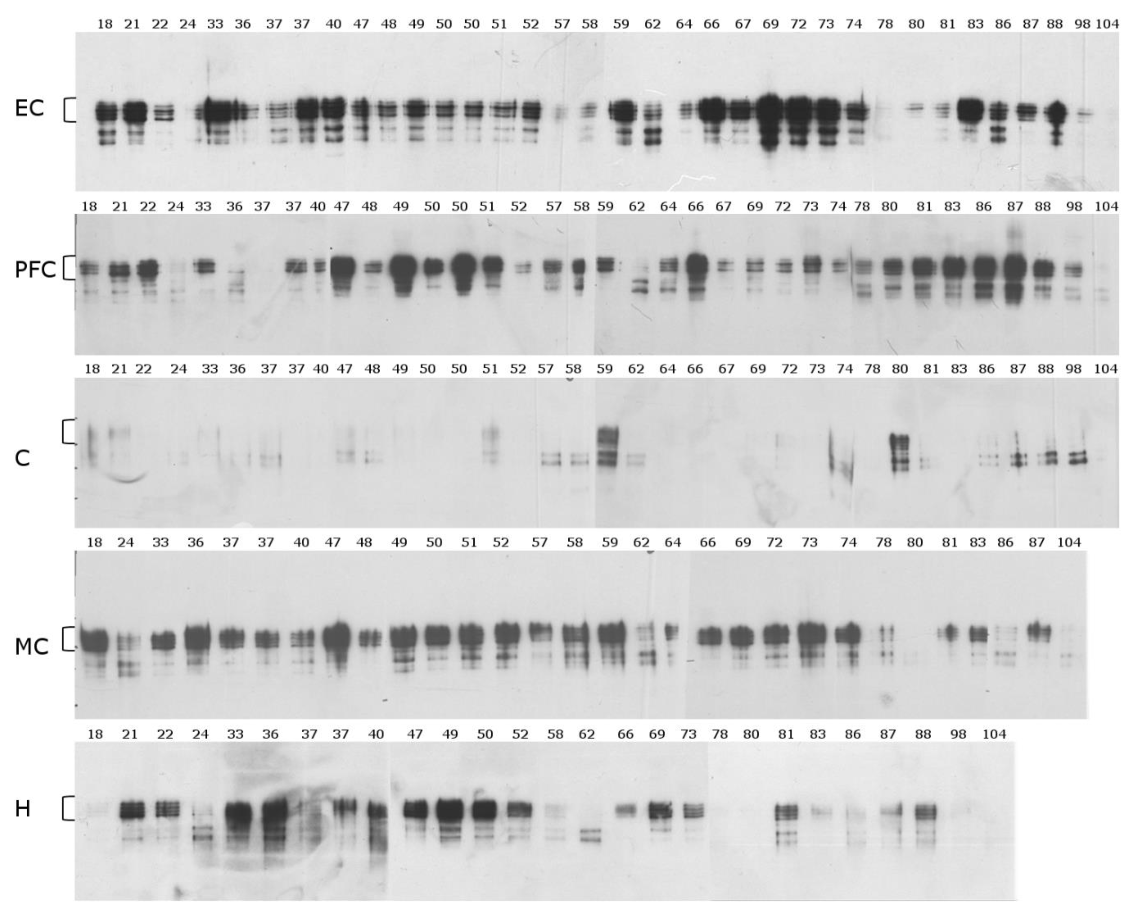 Ijms 22 03521 g002 Ijms 22 03521 g002