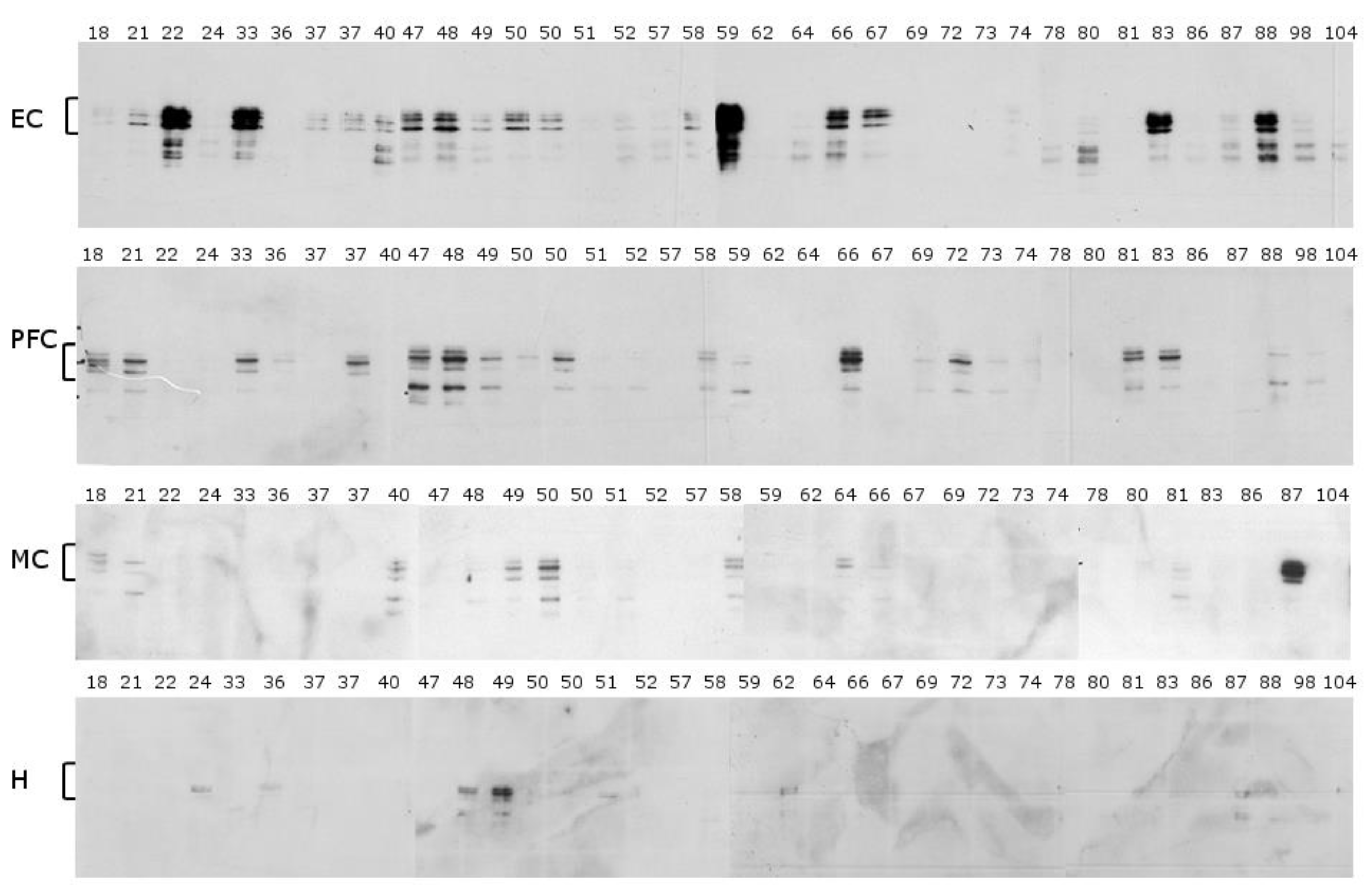 Ijms 22 03521 g003 Ijms 22 03521 g003