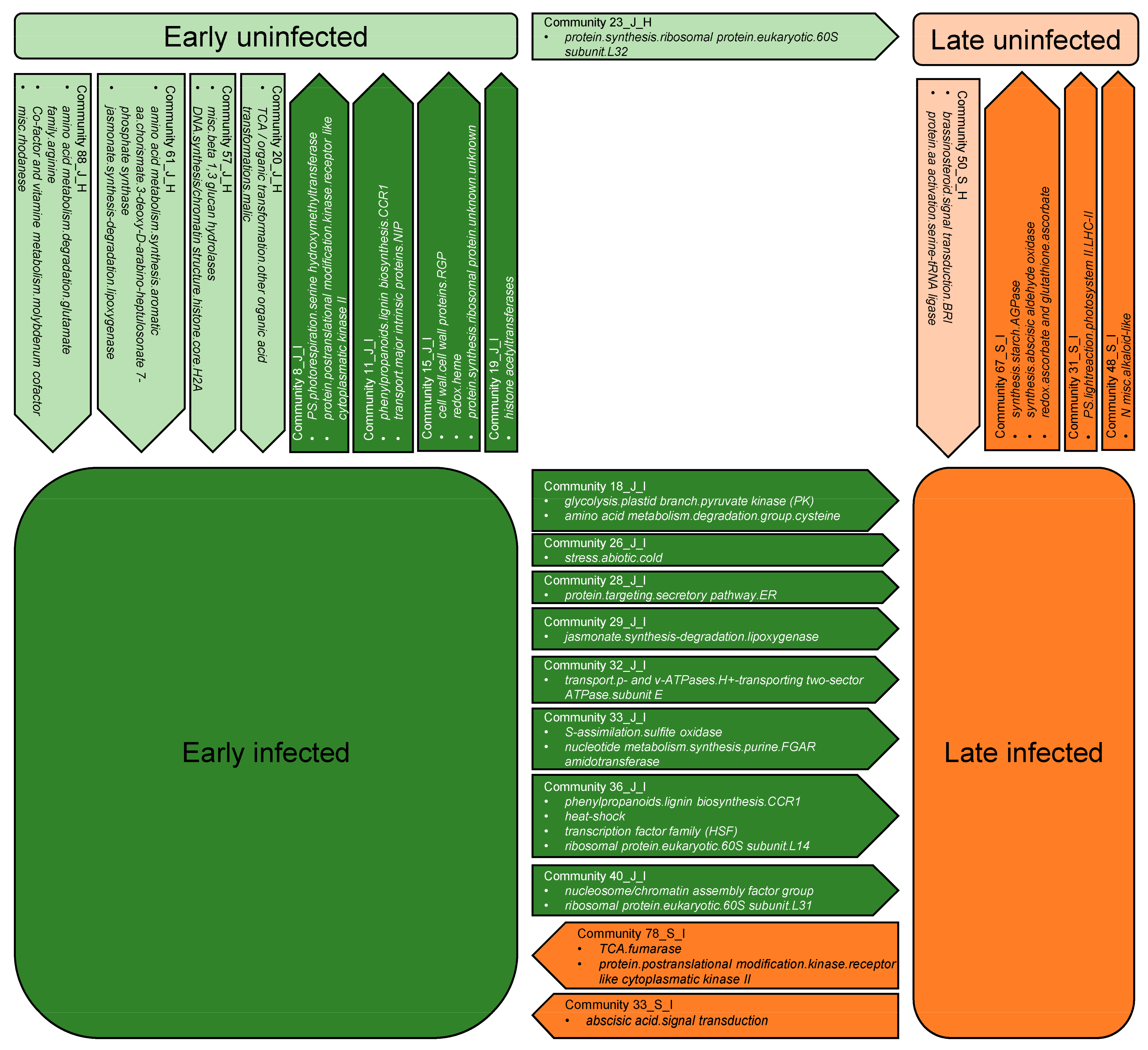 Ijms Free Full Text Differential Response Of Grapevine To Infection With Candidatus Phytoplasma Solani In Early And Late Growing Season Through Complex Regulation Of Mrna And Small Rna Transcriptomes Html