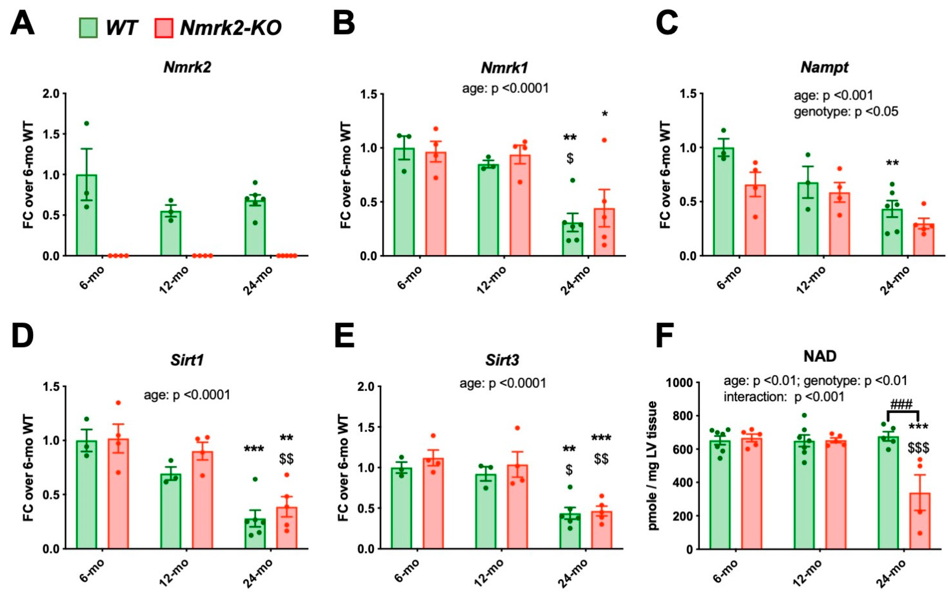 Ijms 22 03534 g005 Ijms 22 03534 g005