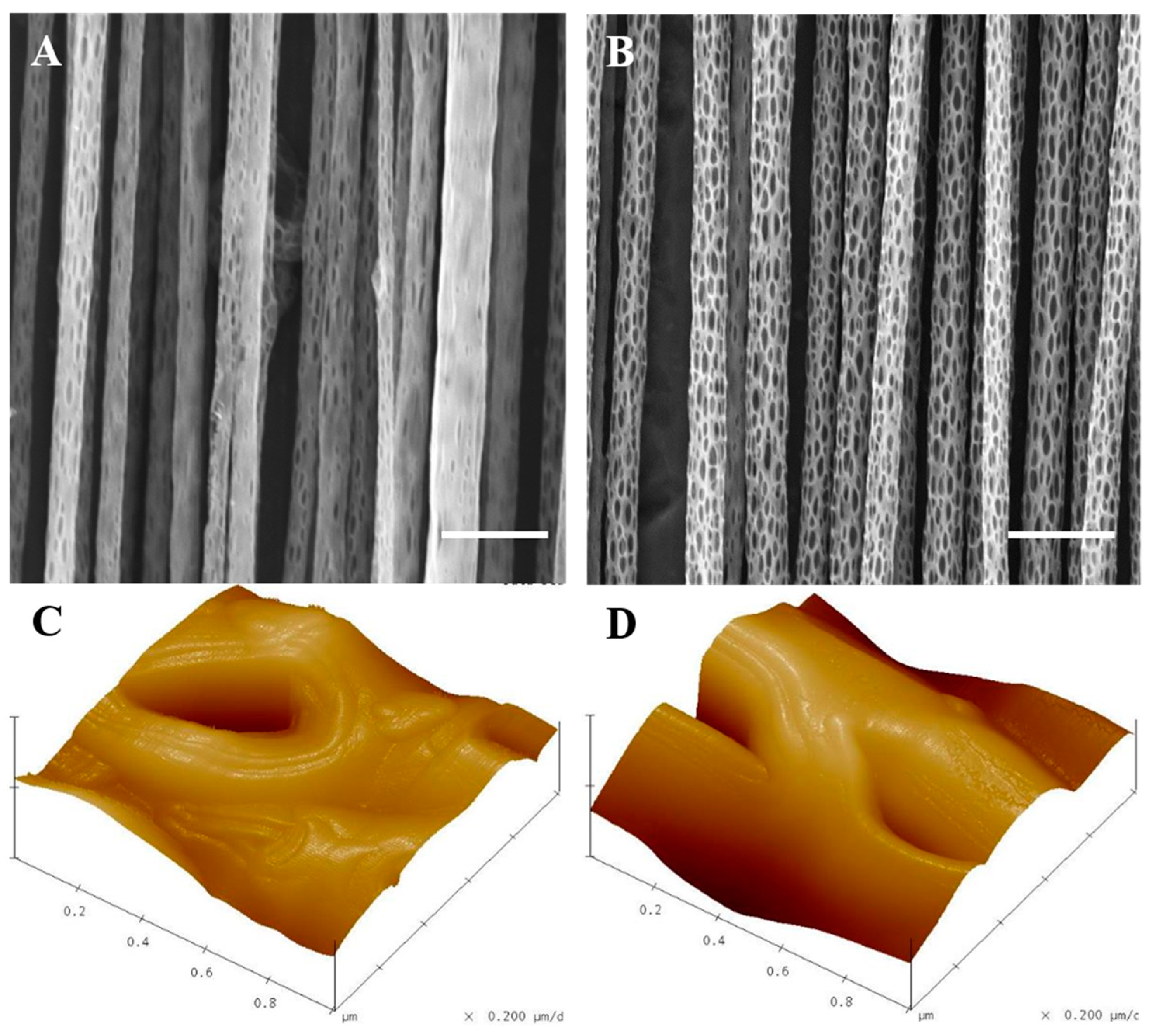 Ijms 22 03536 g002 Ijms 22 03536 g002