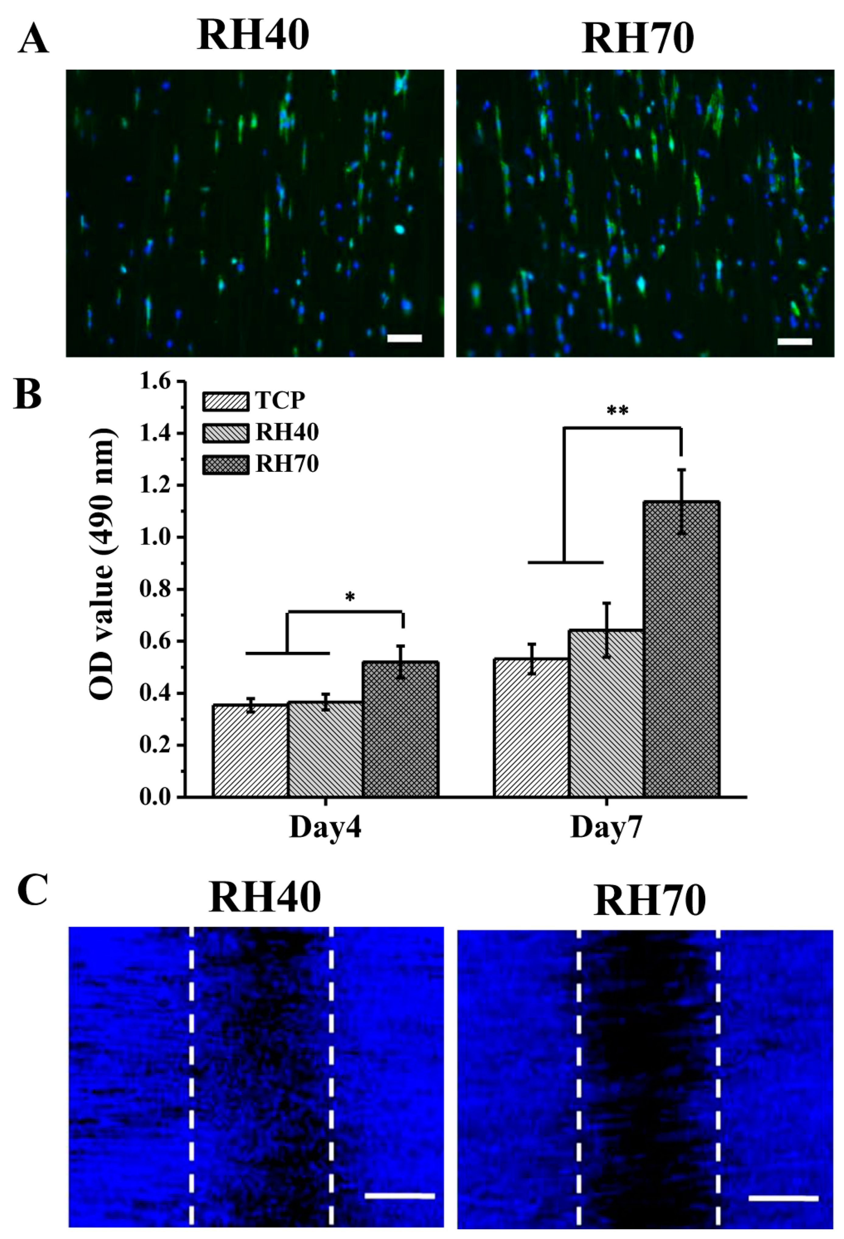 Ijms 22 03536 g006 Ijms 22 03536 g006
