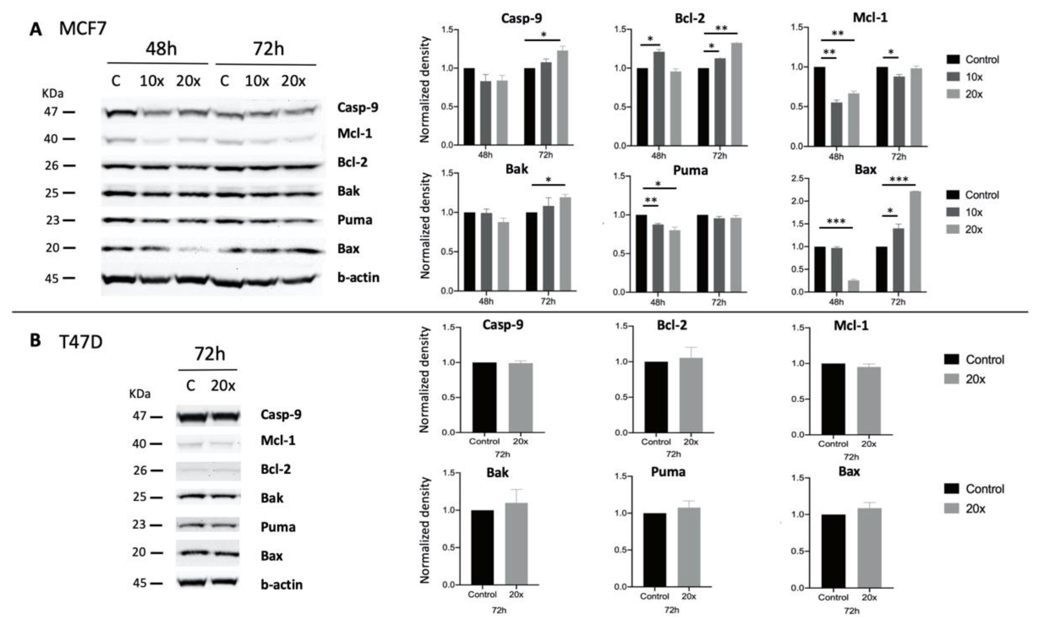 Ijms 22 03598 g005 Ijms 22 03598 g005