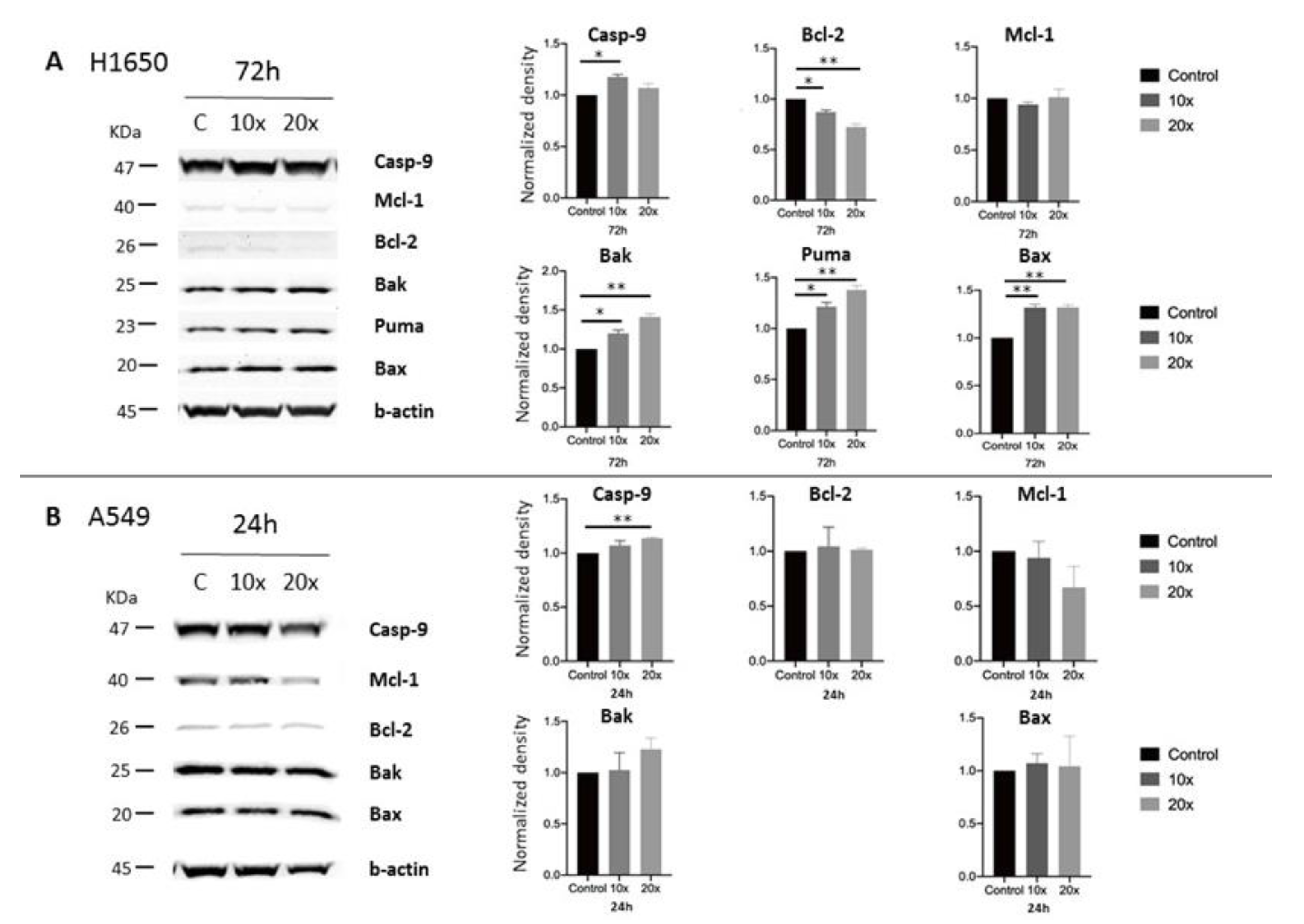 Ijms 22 03598 g006 Ijms 22 03598 g006