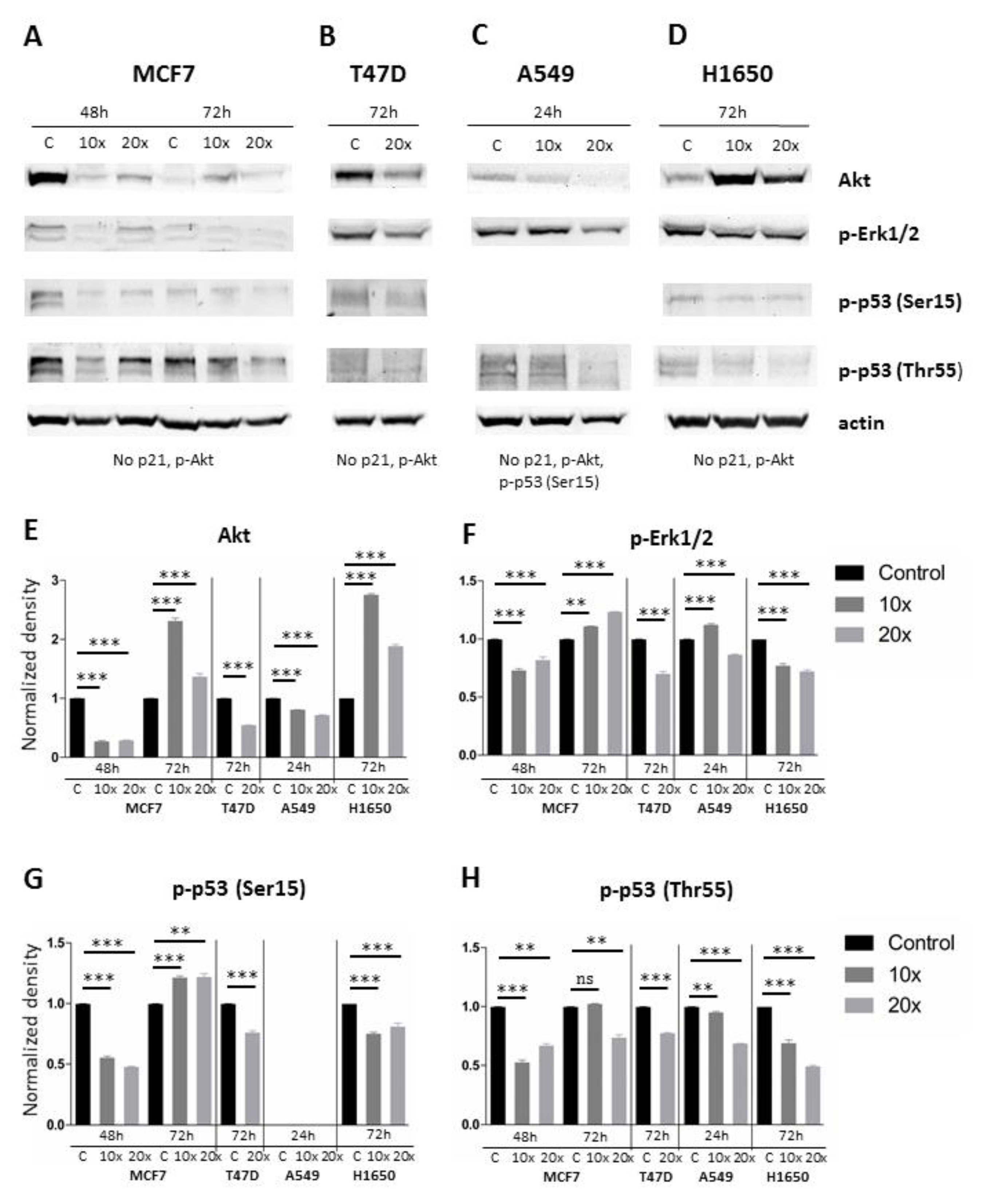 Ijms 22 03598 g007 Ijms 22 03598 g007