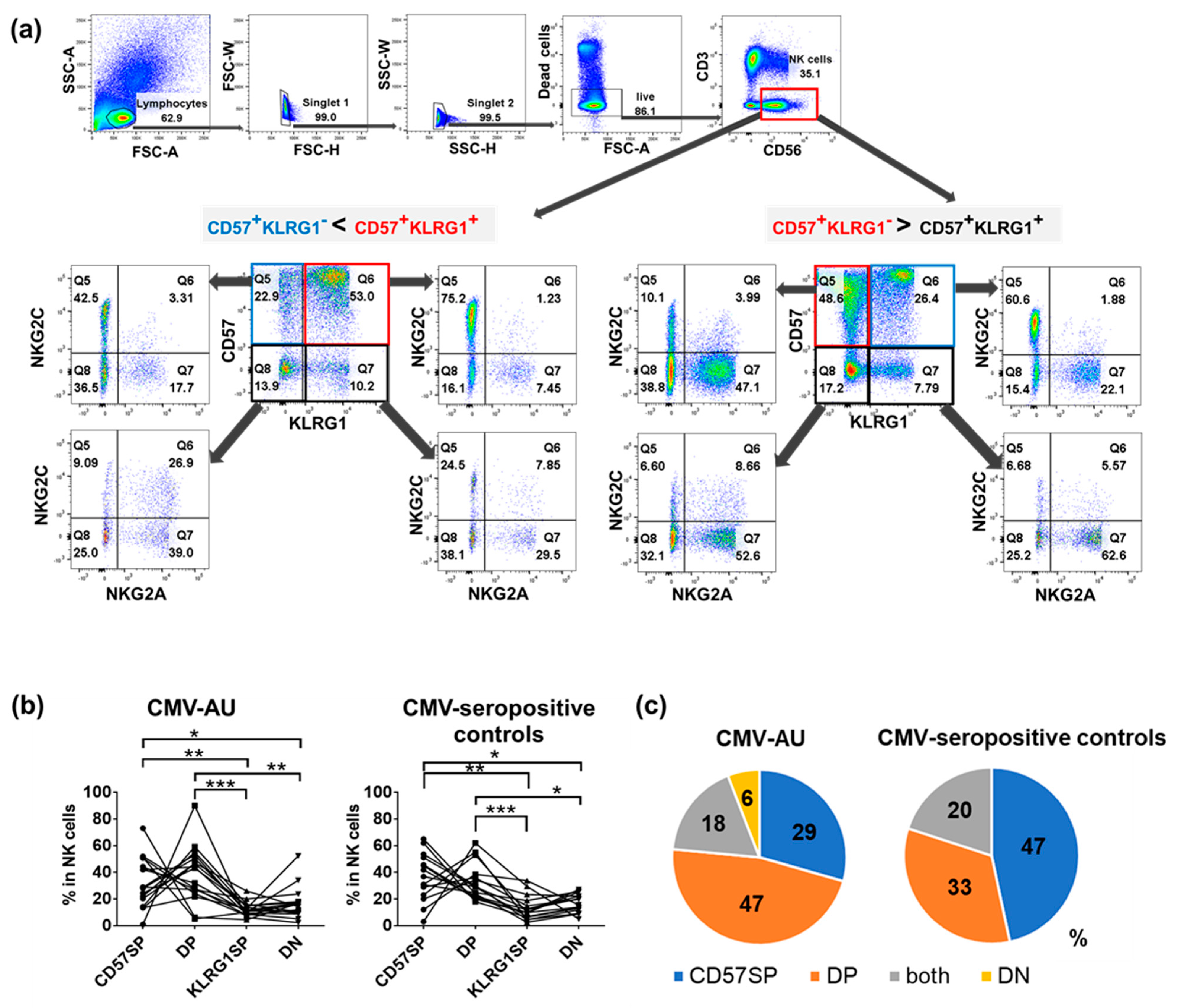 Ijms 22 03623 g002 Ijms 22 03623 g002