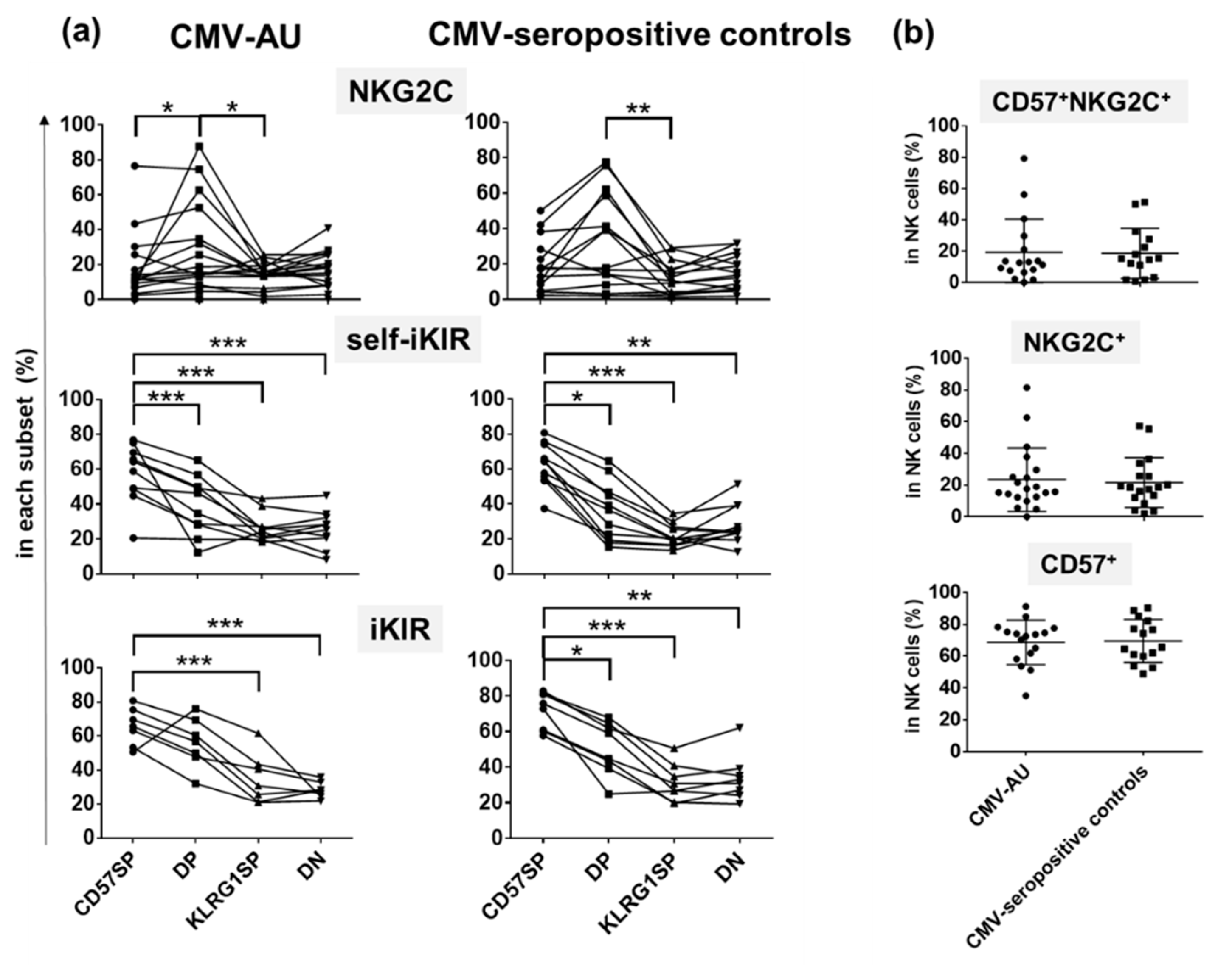 Ijms 22 03623 g004 Ijms 22 03623 g004