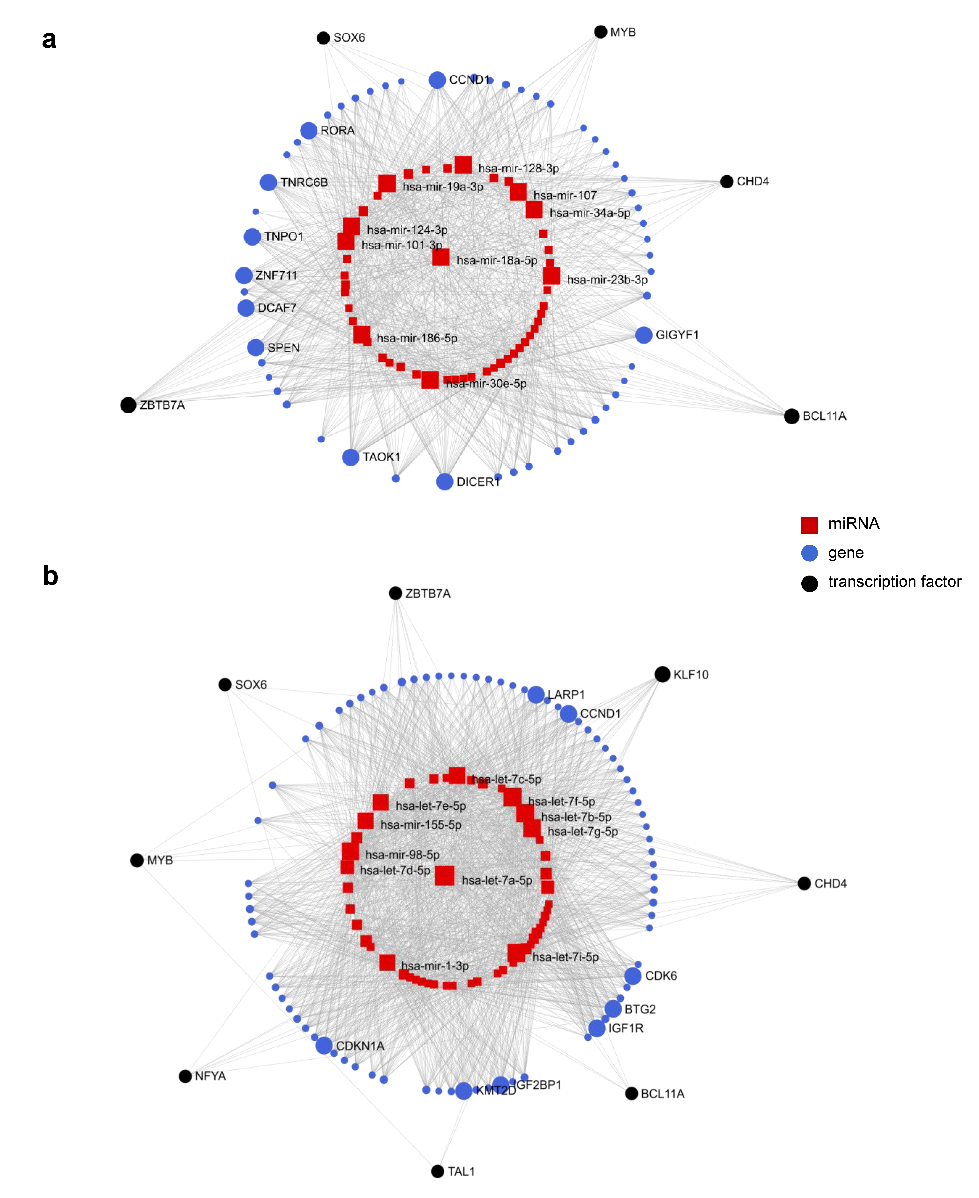 Ijms 22 03626 g007 Ijms 22 03626 g007