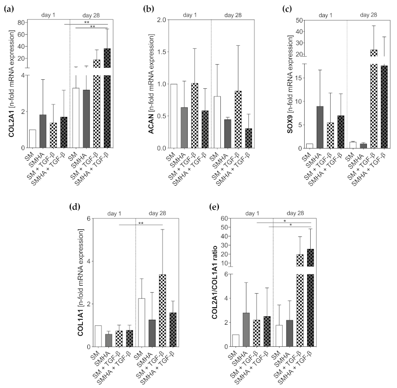 Ijms 22 03635 g005 Ijms 22 03635 g005
