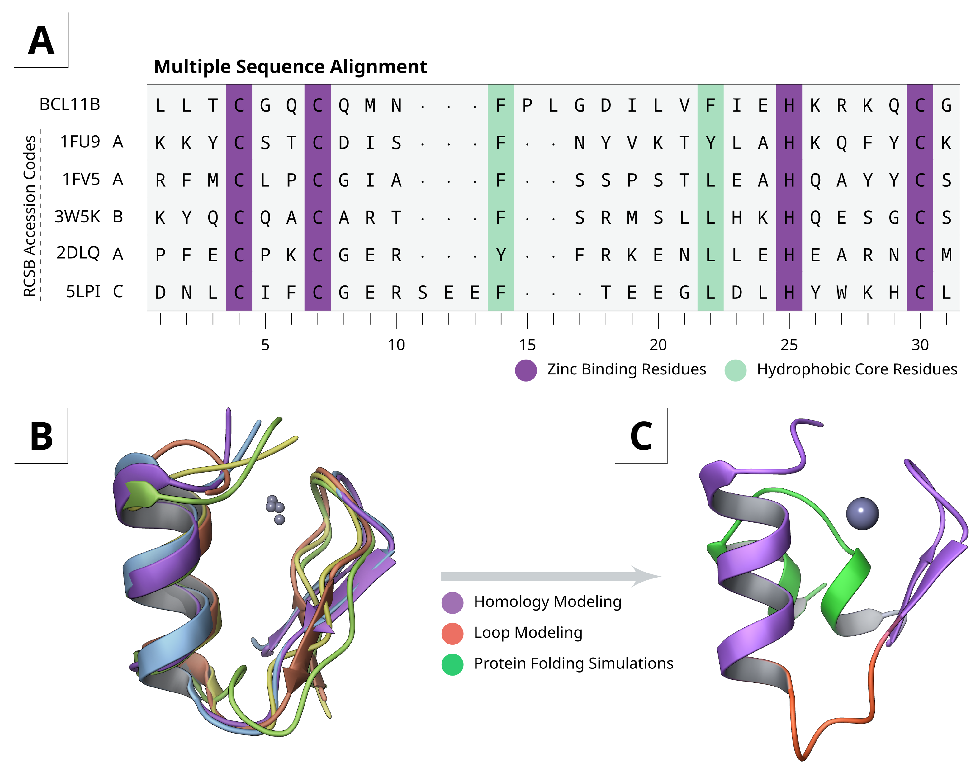 Ijms Free Full Text Unveiling The N Terminal Homodimerization Of l11b By Hybrid Solvent Replica Exchange Simulations Html