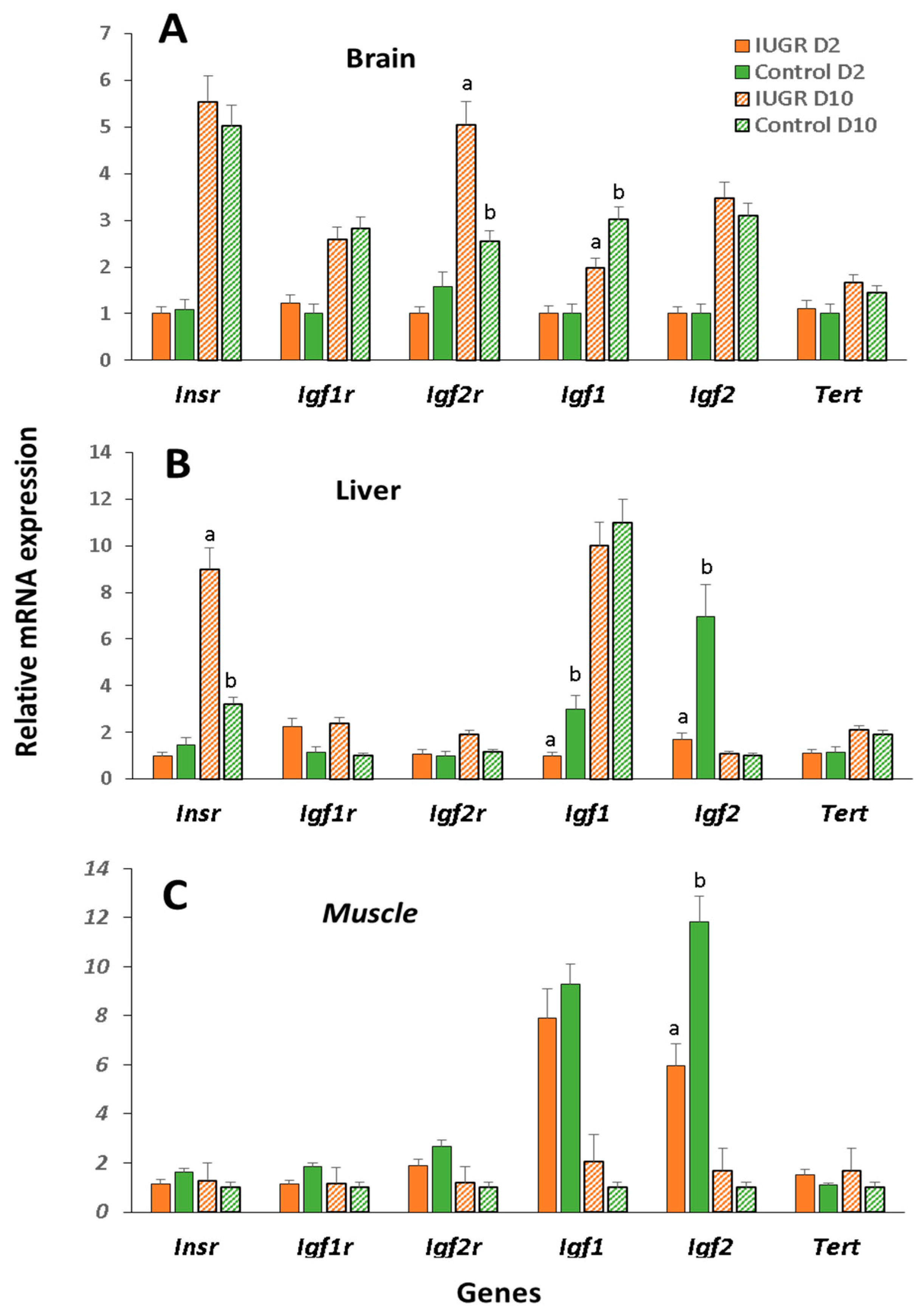 Ijms 22 03657 g003 Ijms 22 03657 g003