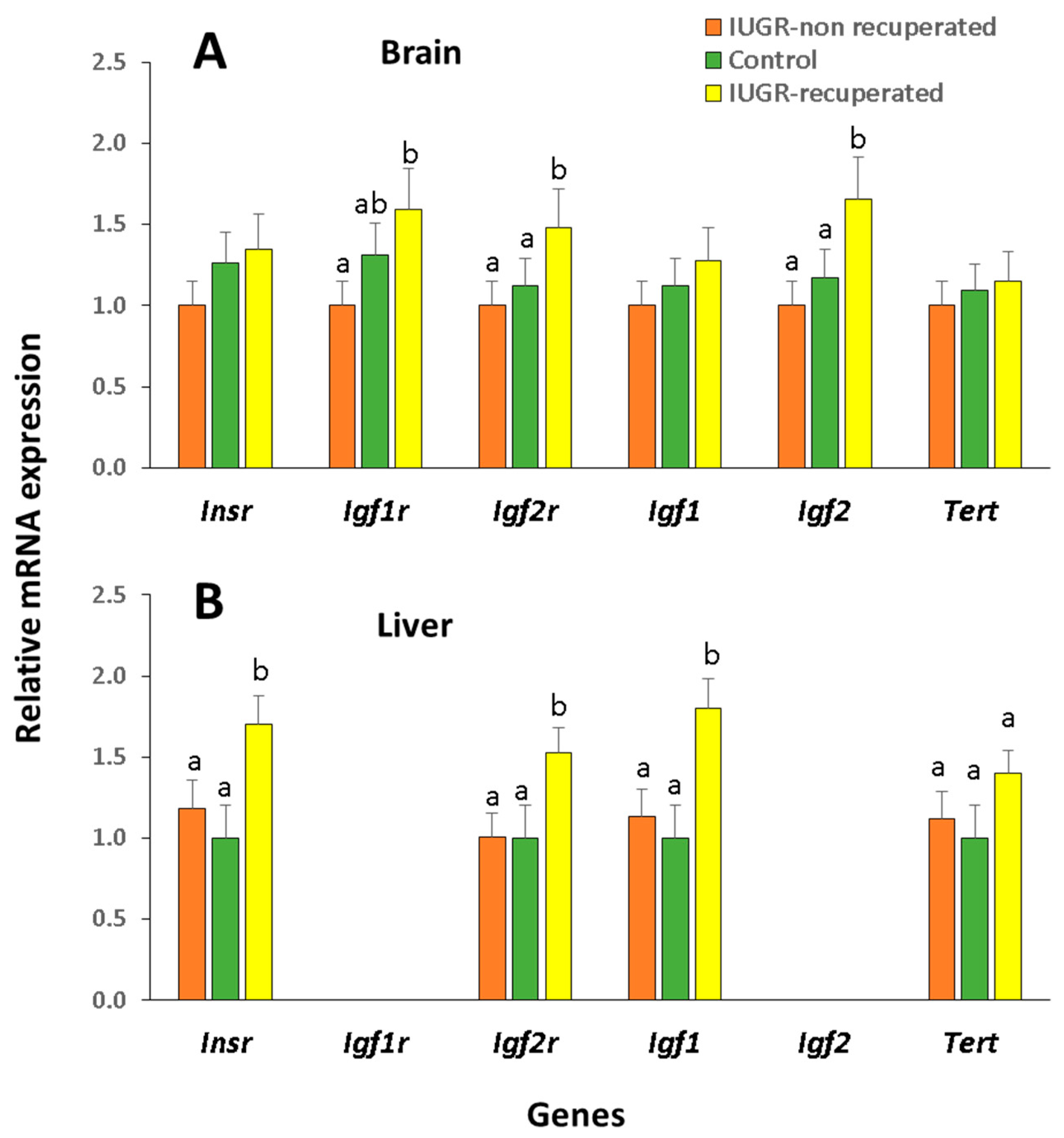 Ijms 22 03657 g004 Ijms 22 03657 g004