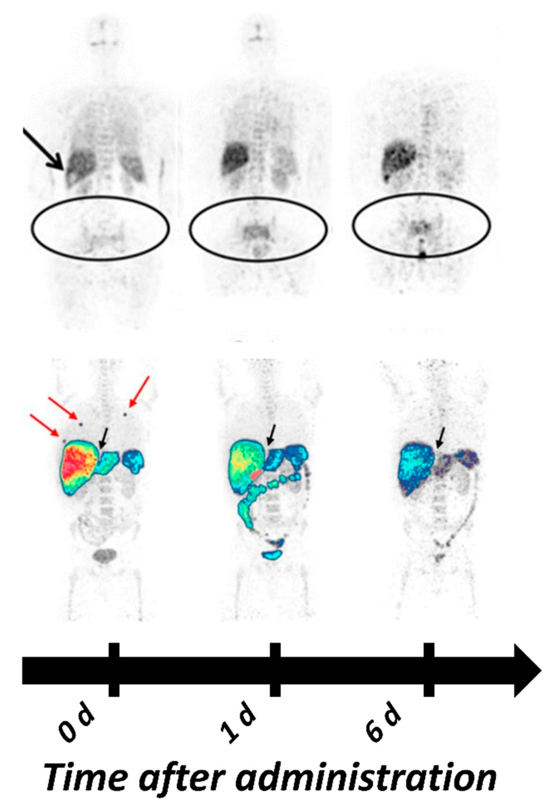 Ijms 22 03663 g001 Ijms 22 03663 g001