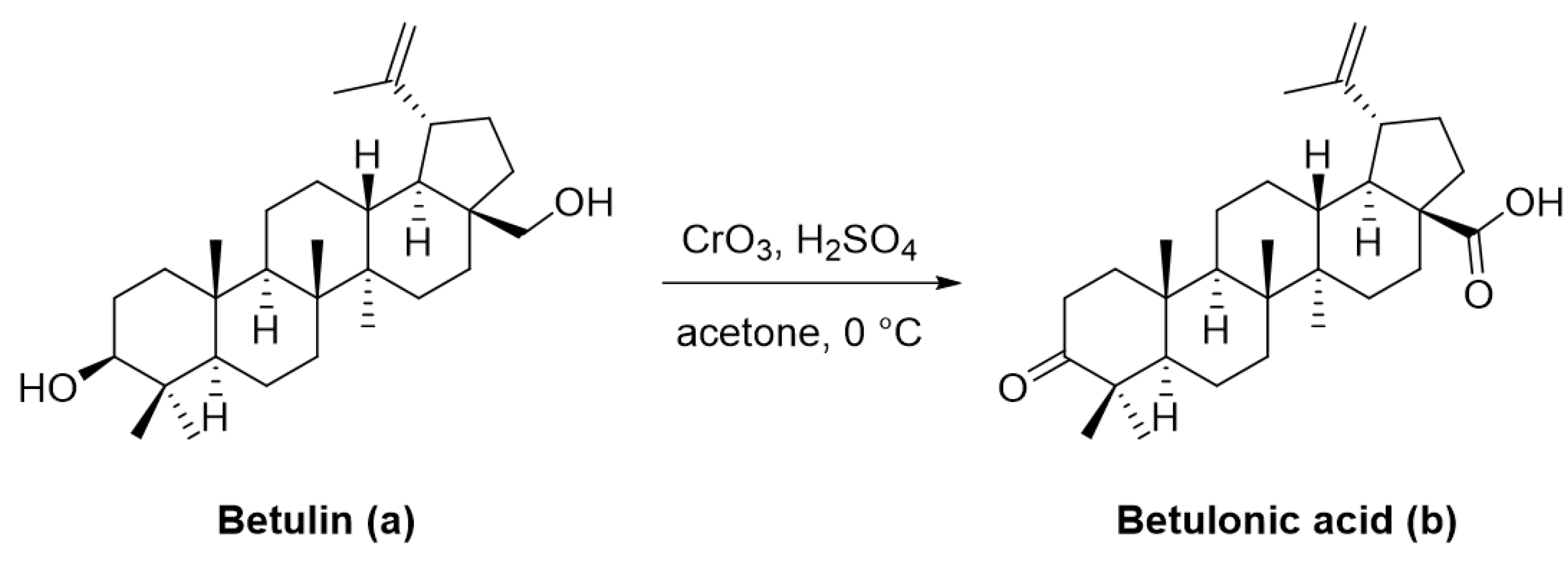 Ijms 22 03676 g002 Ijms 22 03676 g002