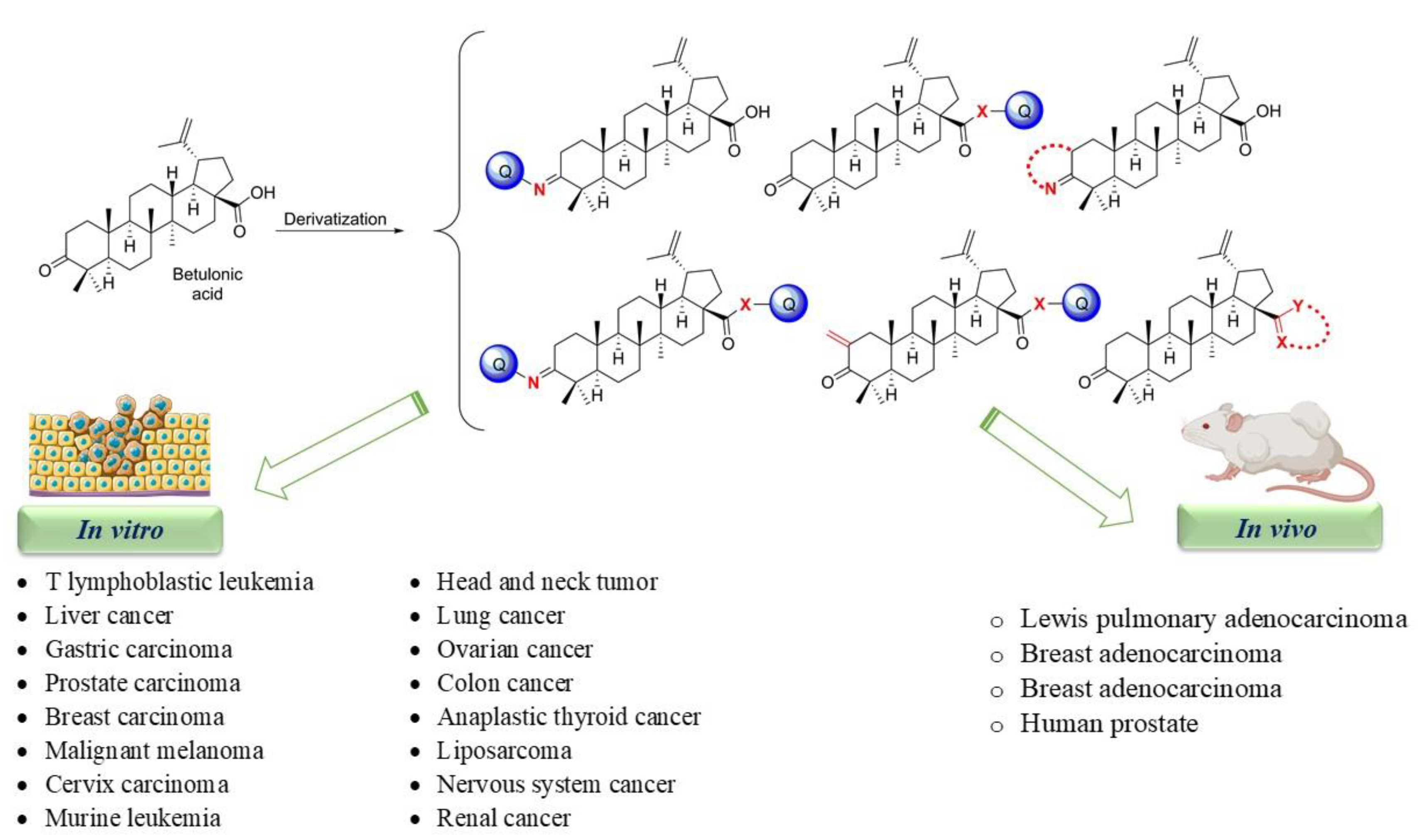 Ijms 22 03676 g003 Ijms 22 03676 g003