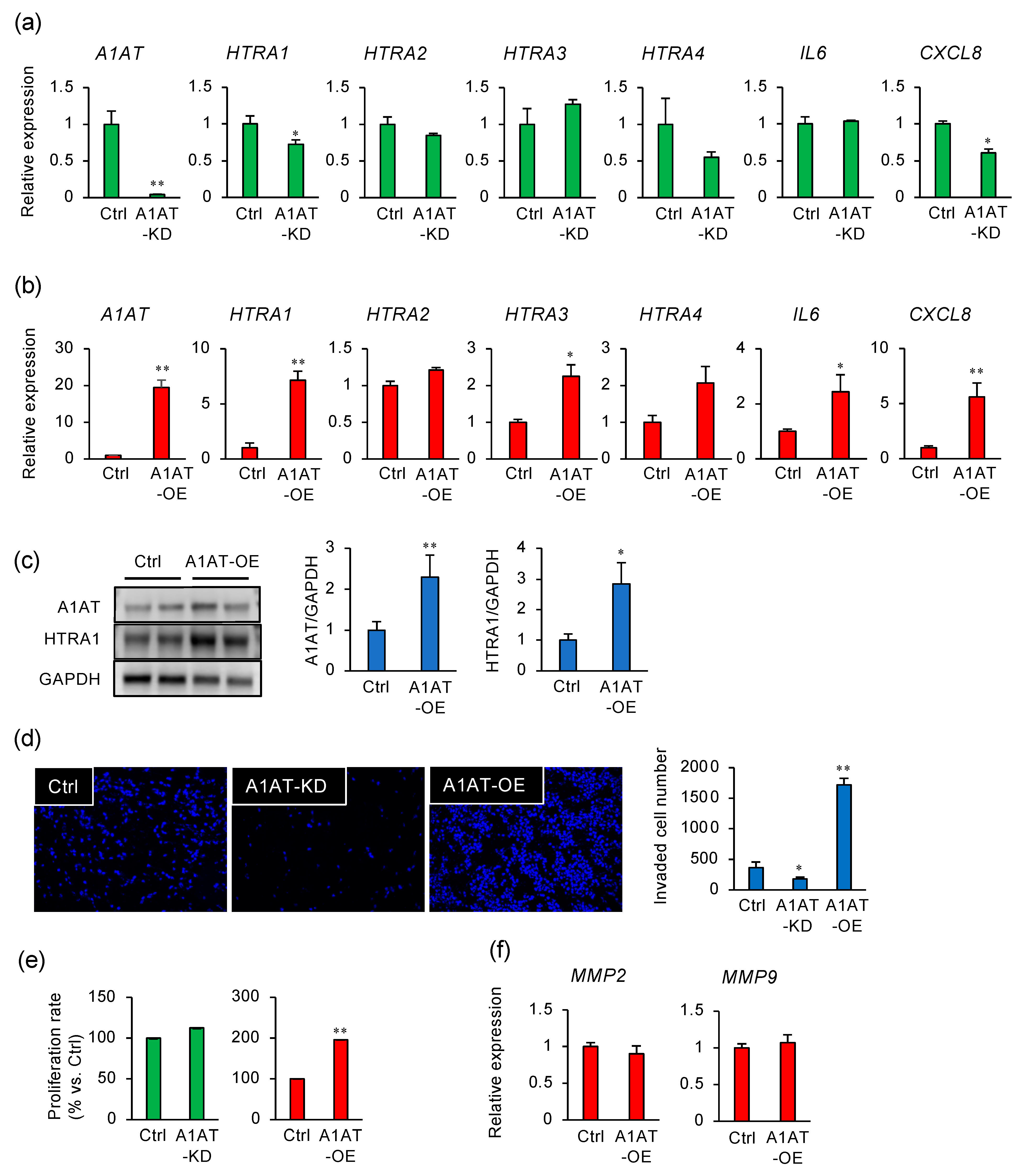 Ijms 22 03683 g001 Ijms 22 03683 g001