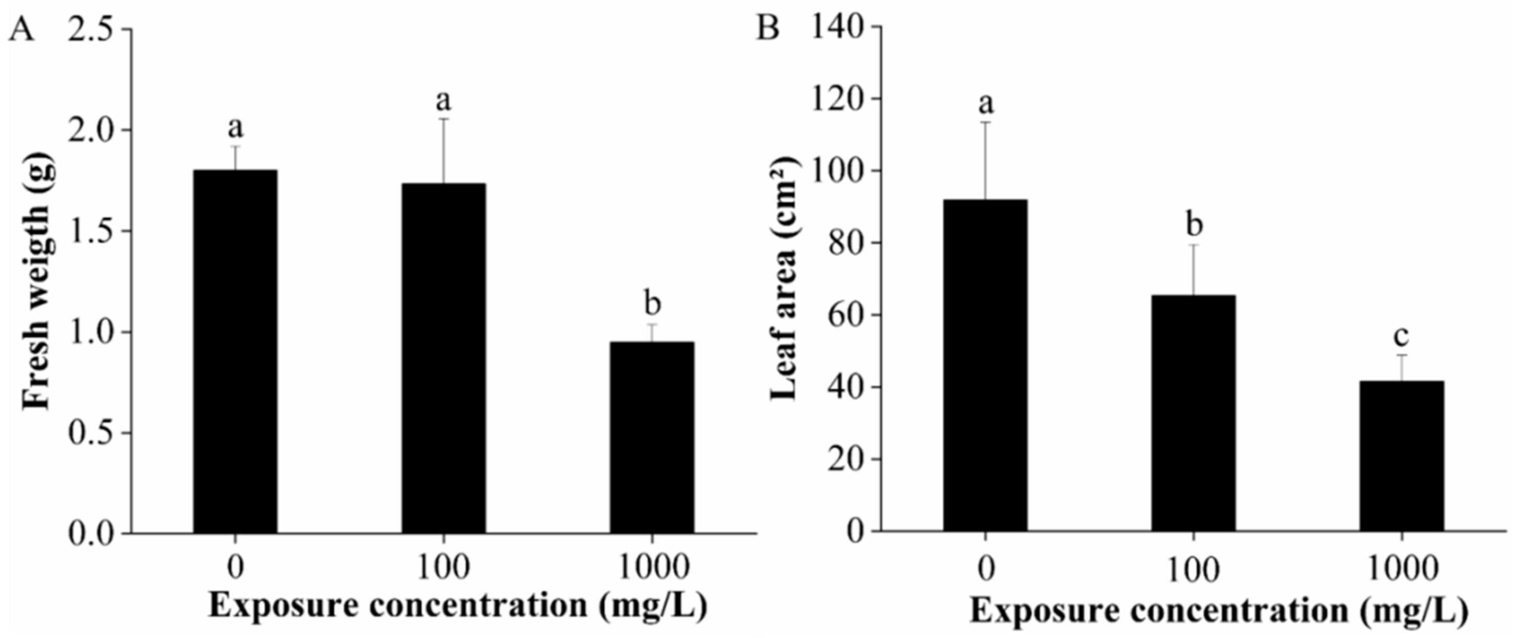 IJMS | Free Full-Text | Dose-Dependent Physiological and Transcriptomic  Responses of Lettuce (Lactuca sativa L.) to Copper Oxide  Nanoparticles—Insights into the Phytotoxicity Mechanisms