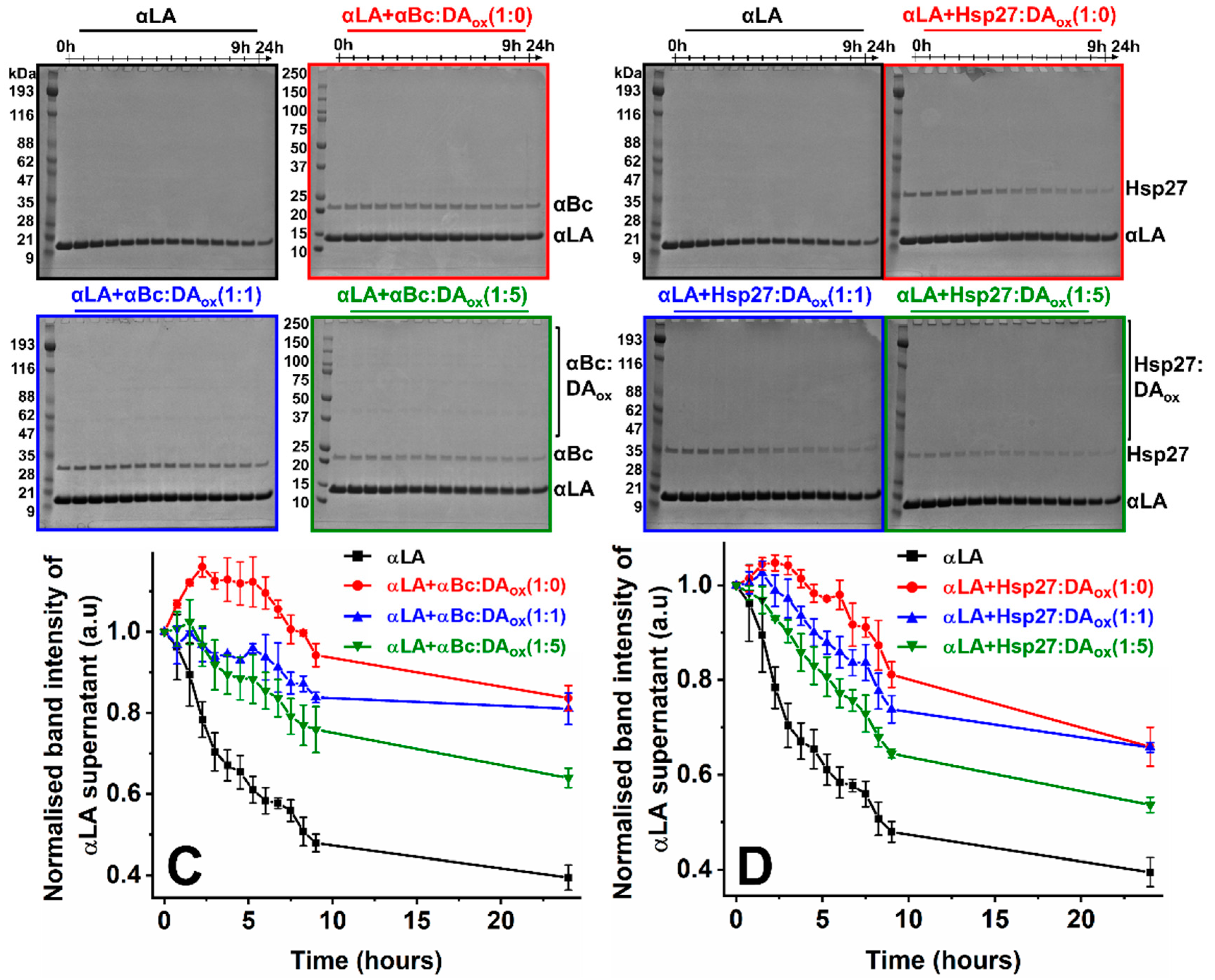 Ijms 22 03700 g001b Ijms 22 03700 g001b