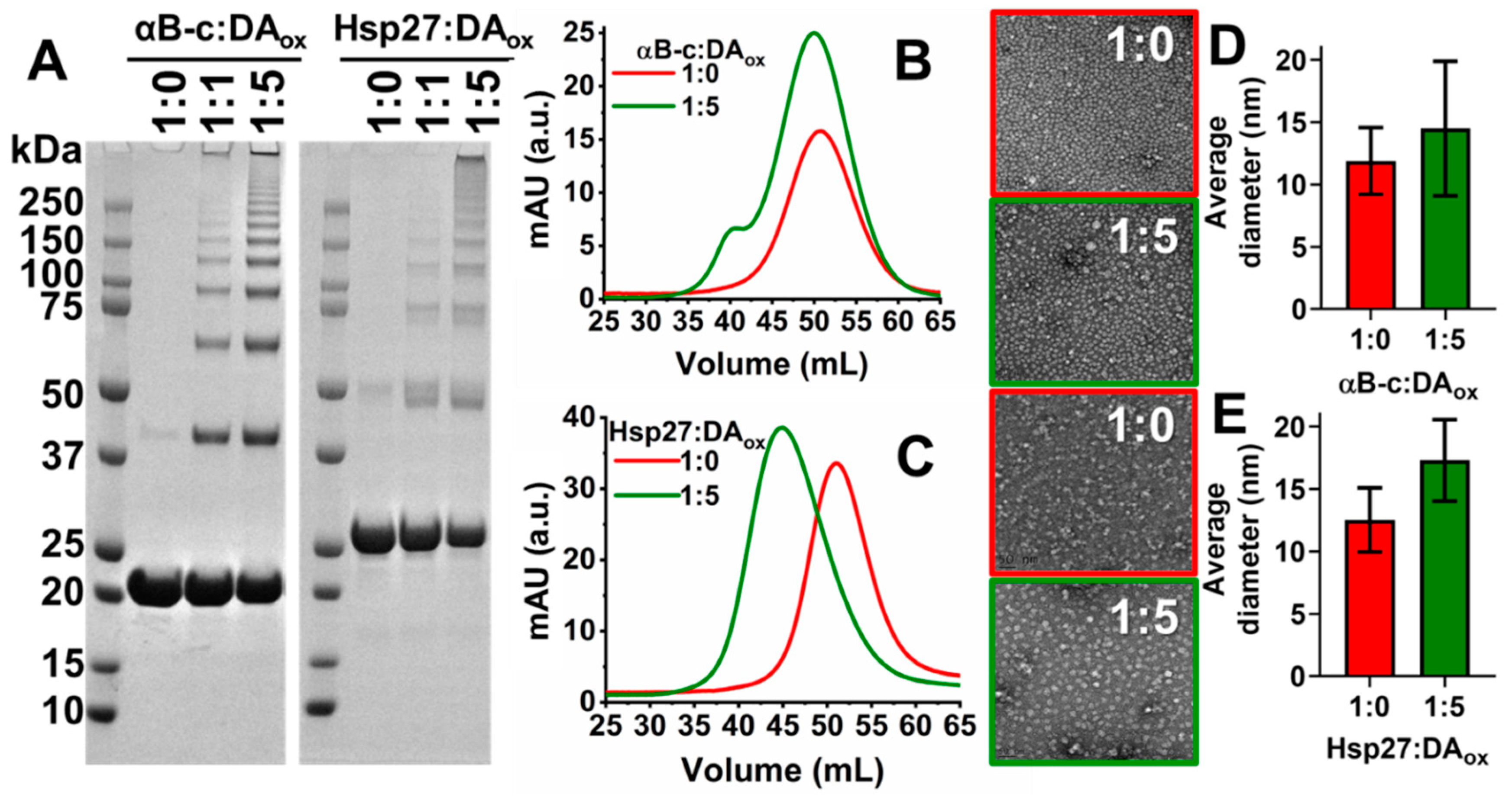 Ijms 22 03700 g002 Ijms 22 03700 g002