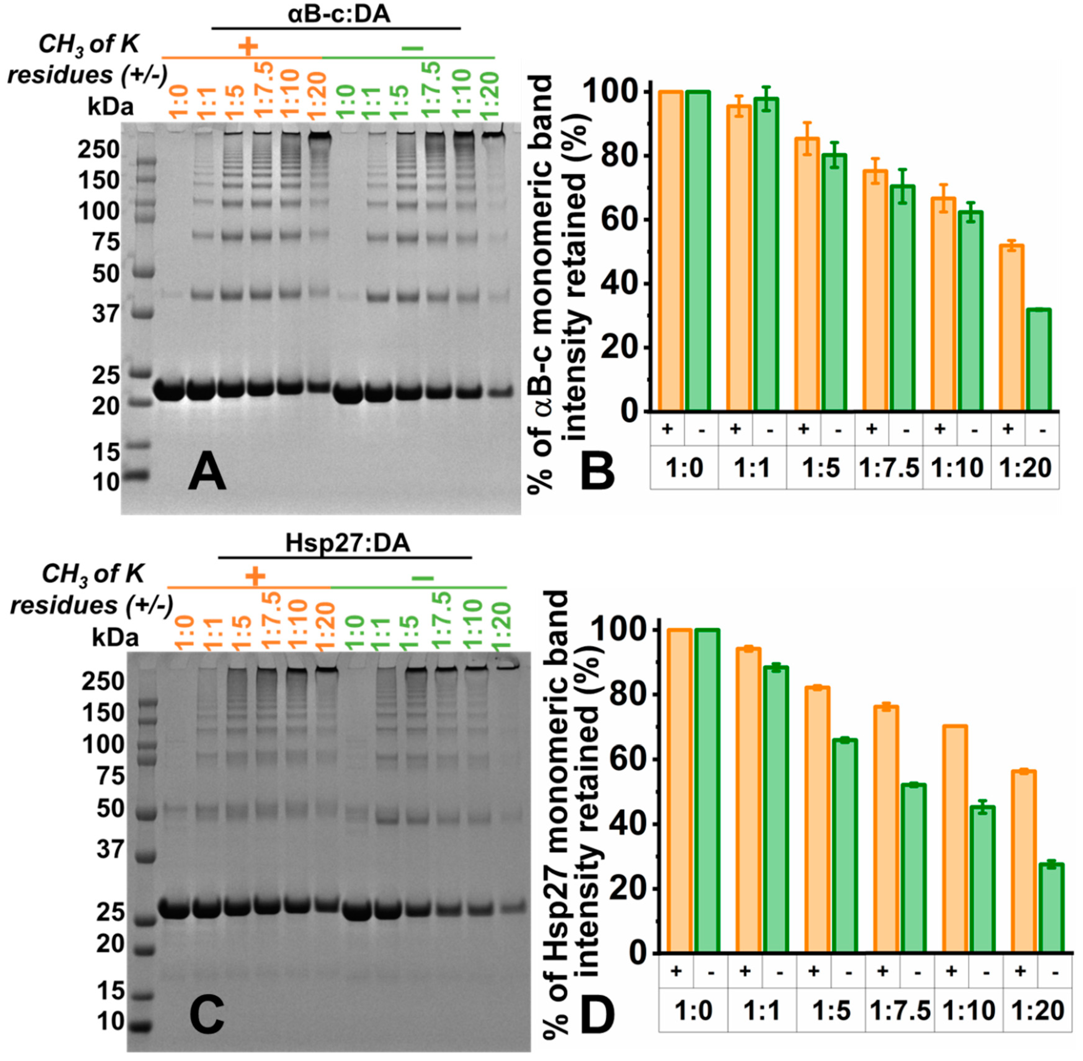 Ijms 22 03700 g004 Ijms 22 03700 g004
