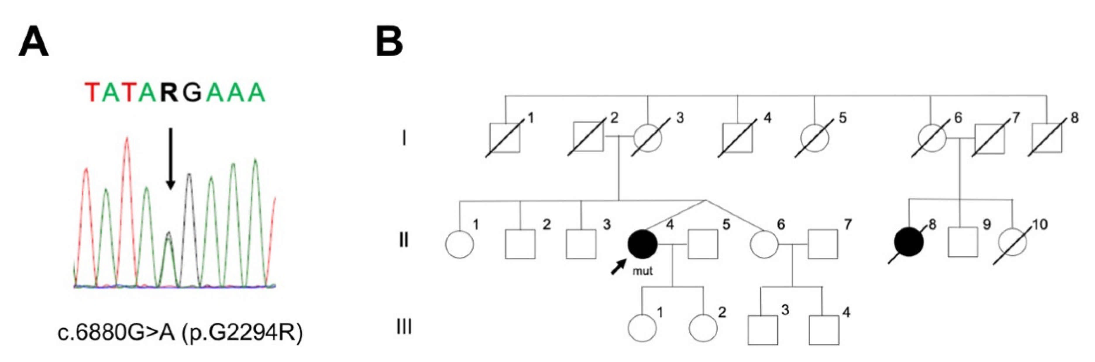 Ijms 22 03708 g001 Ijms 22 03708 g001