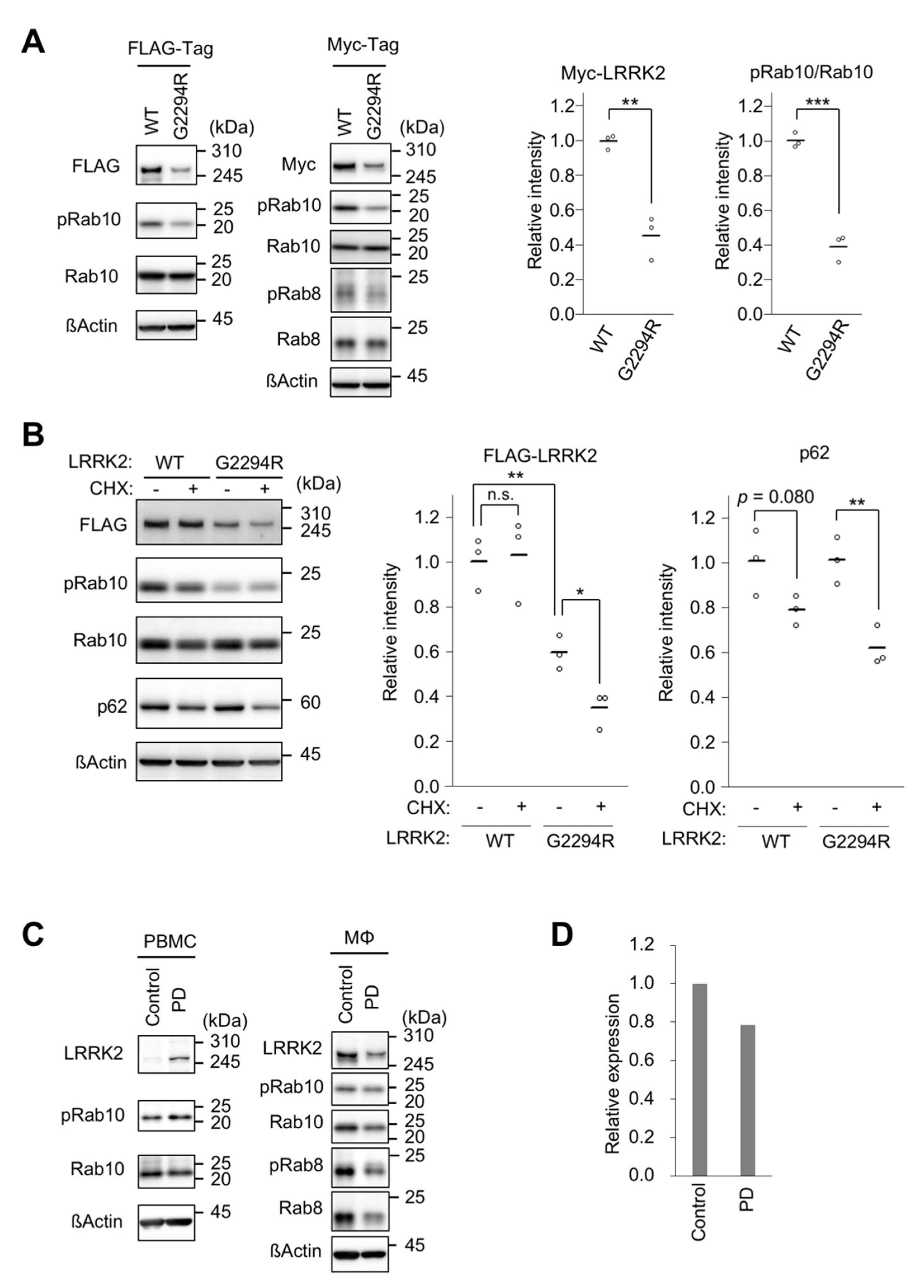 Ijms 22 03708 g002 Ijms 22 03708 g002