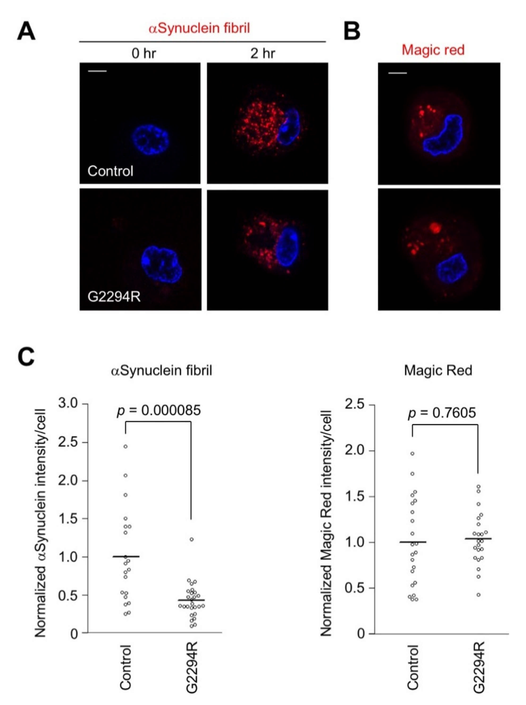 Ijms 22 03708 g004 Ijms 22 03708 g004