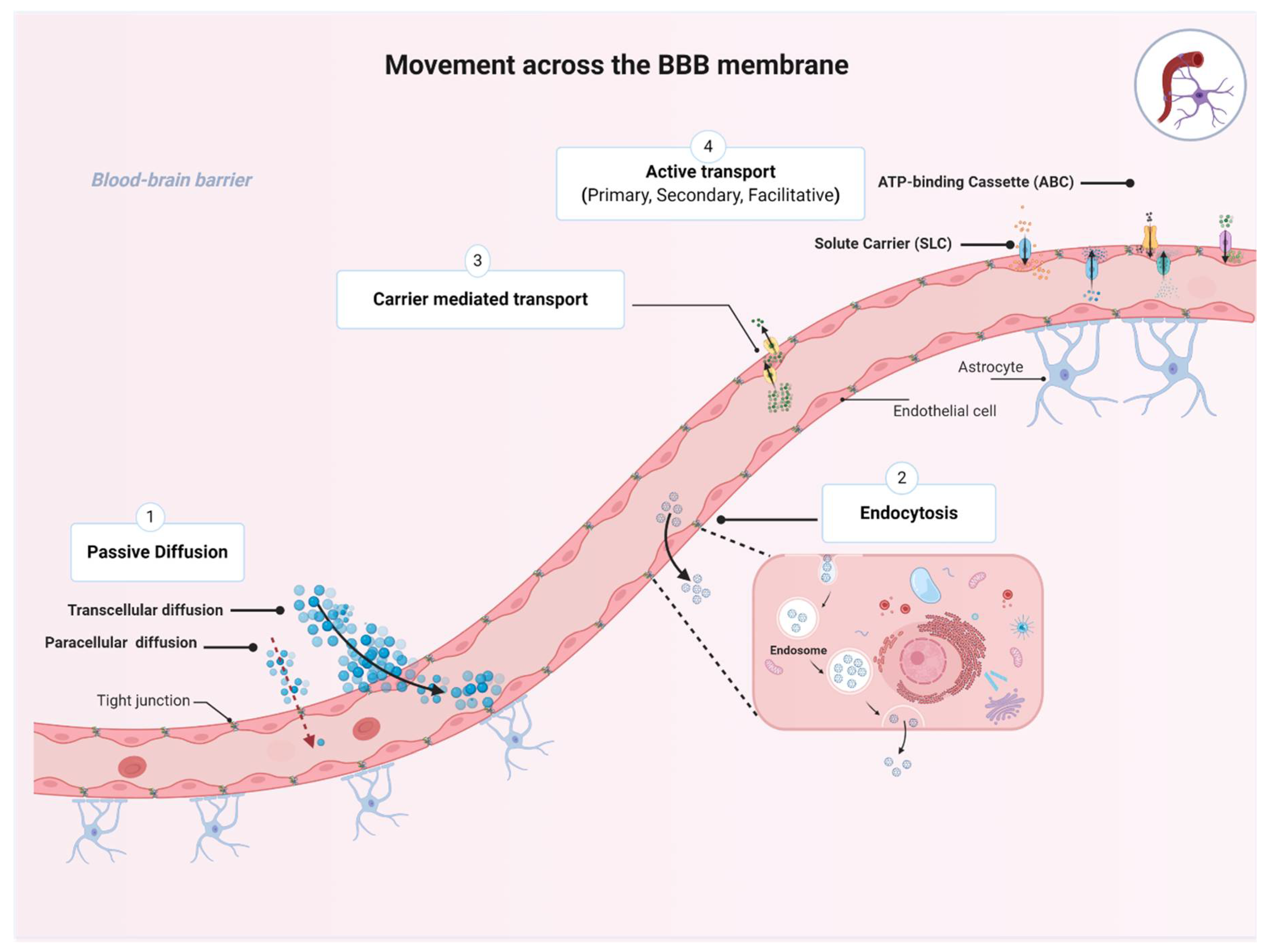 Ijms 22 03742 g002 Ijms 22 03742 g002