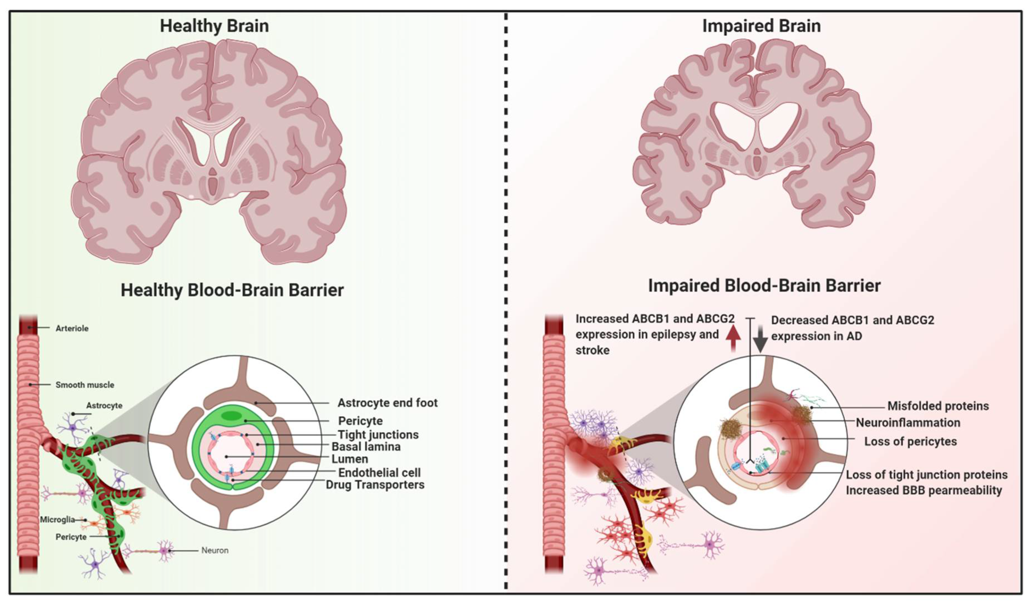 Ijms 22 03742 g006 Ijms 22 03742 g006