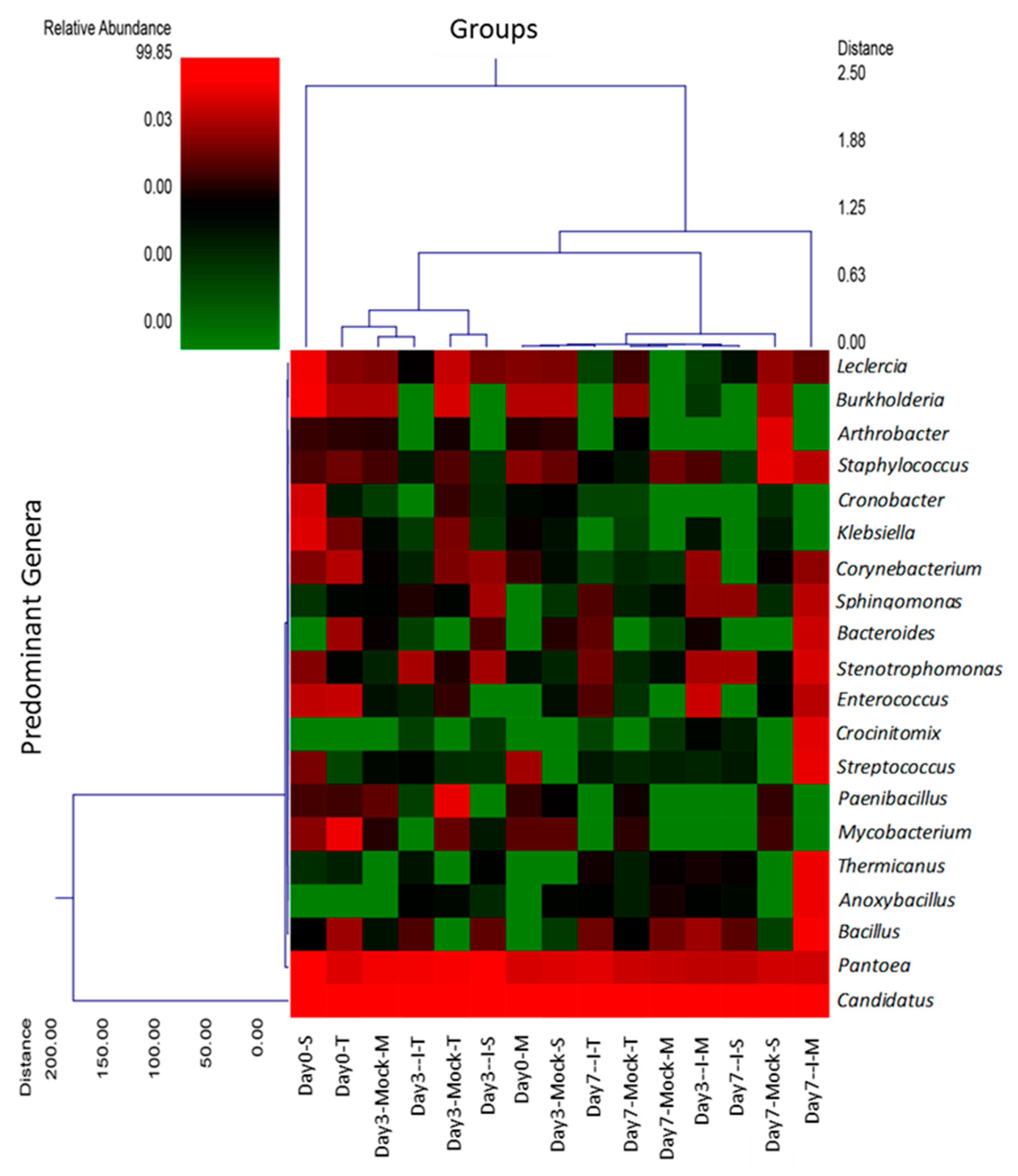 Ijms 22 03747 g002 Ijms 22 03747 g002