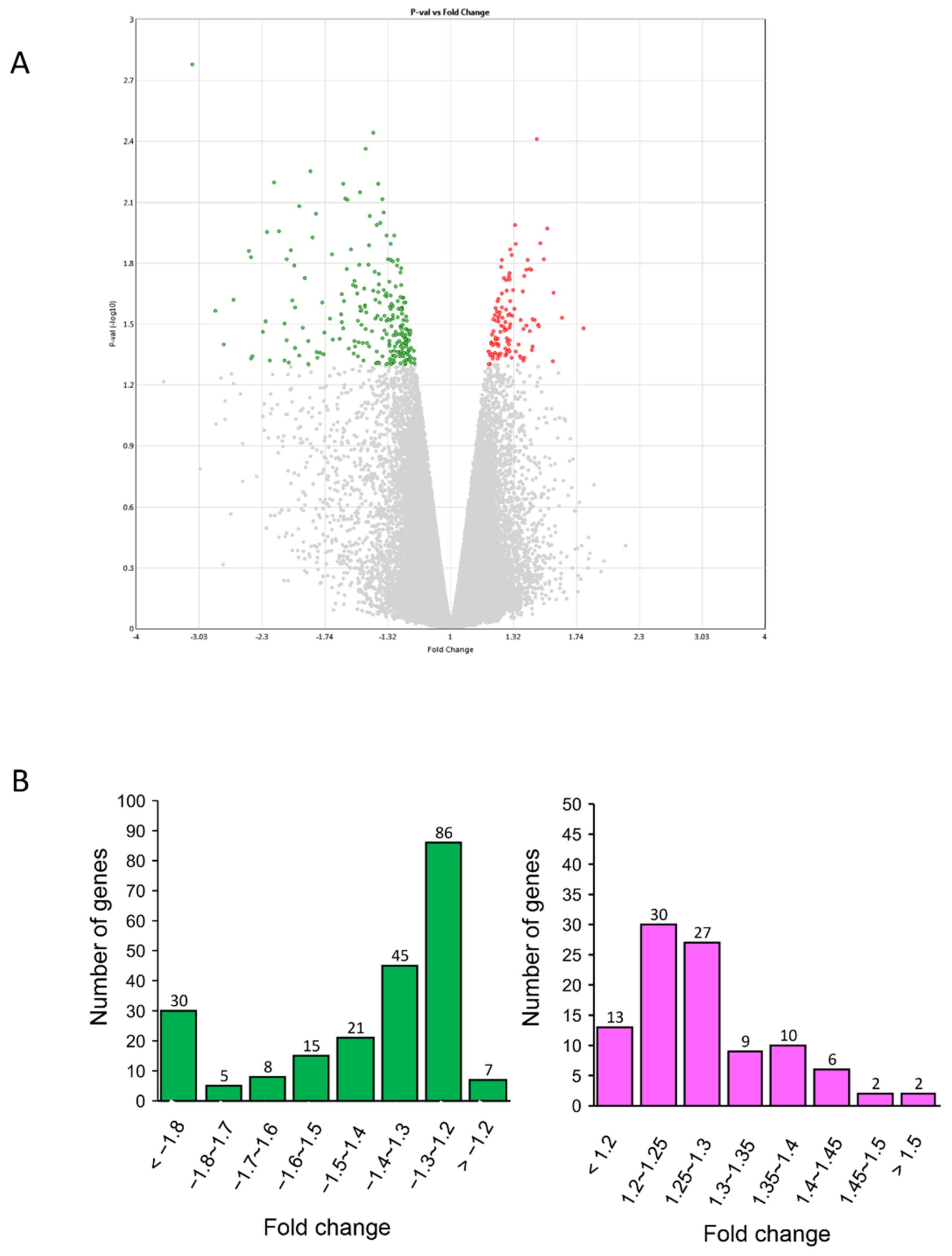 Ijms Free Full Text Human Amniotic Epithelial Cells As A Tool To Investigate The Effects Of Cyanidin 3 O Glucoside On Cell Differentiation