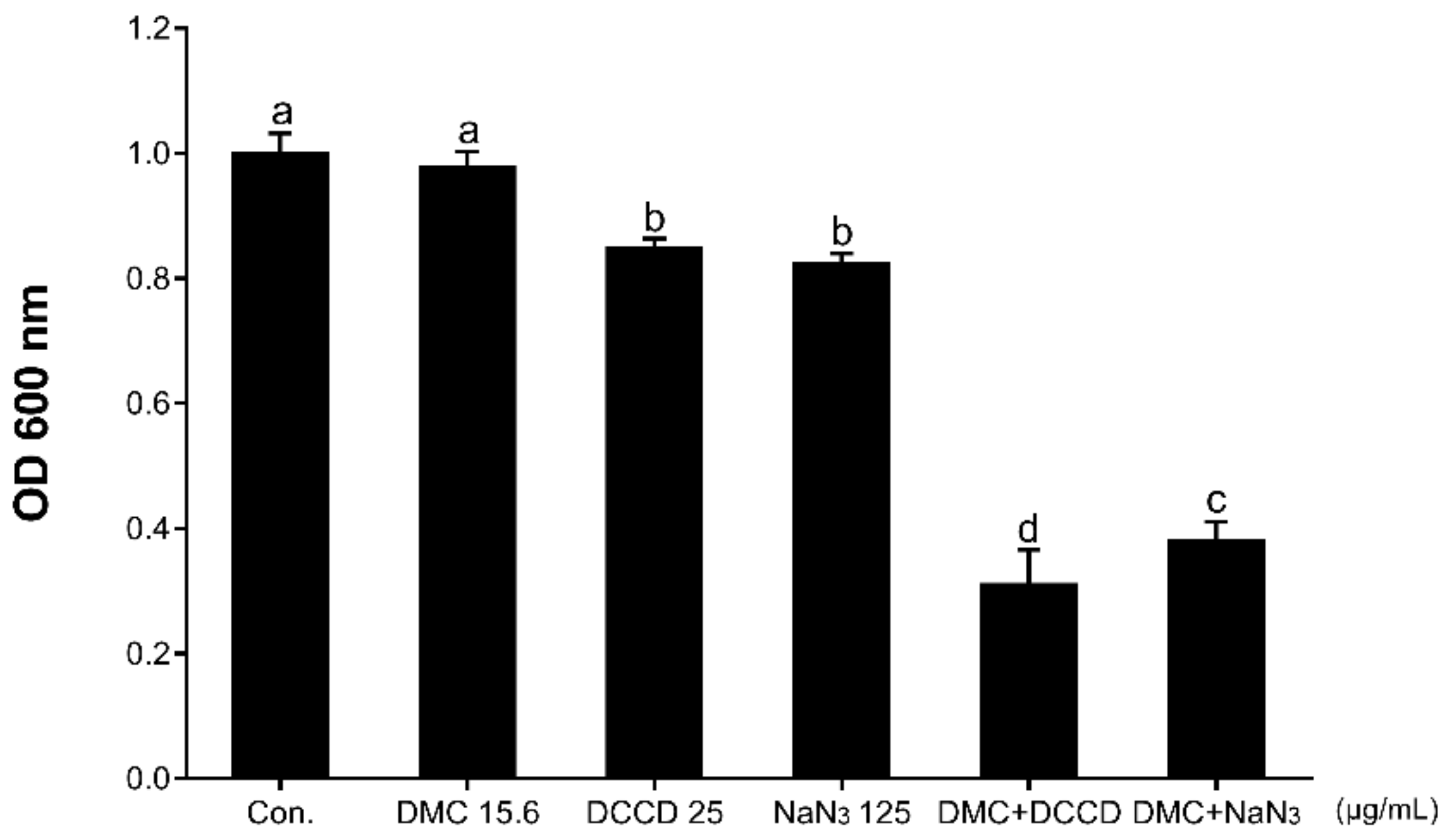 Ijms 22 03778 g003 Ijms 22 03778 g003