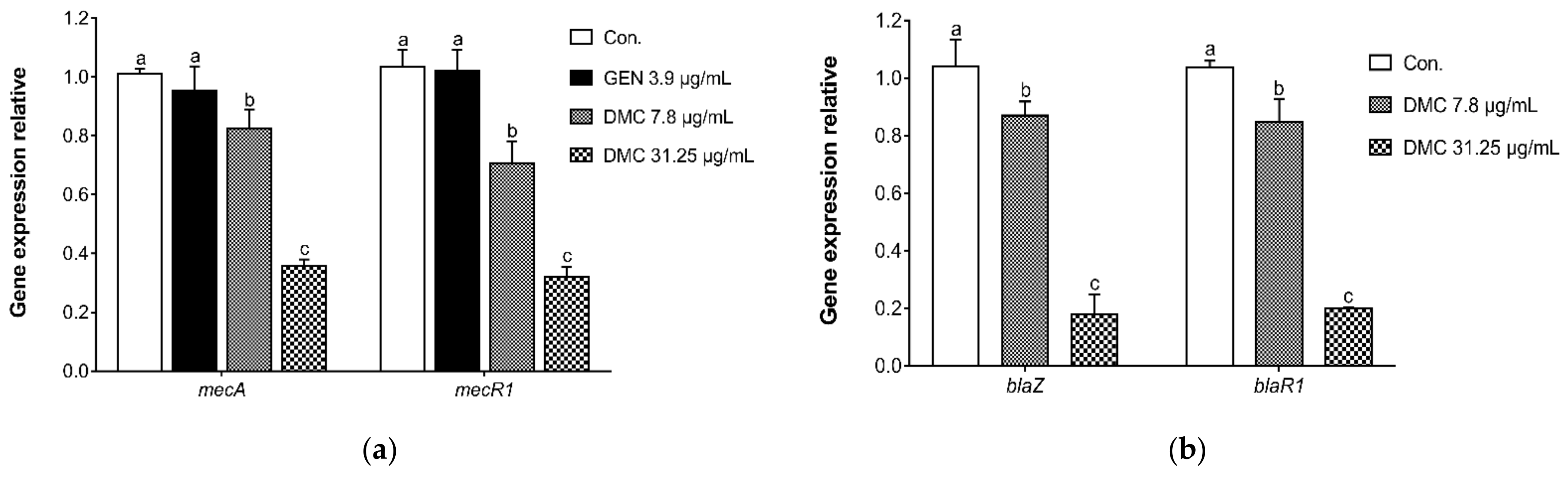 Ijms 22 03778 g005 Ijms 22 03778 g005