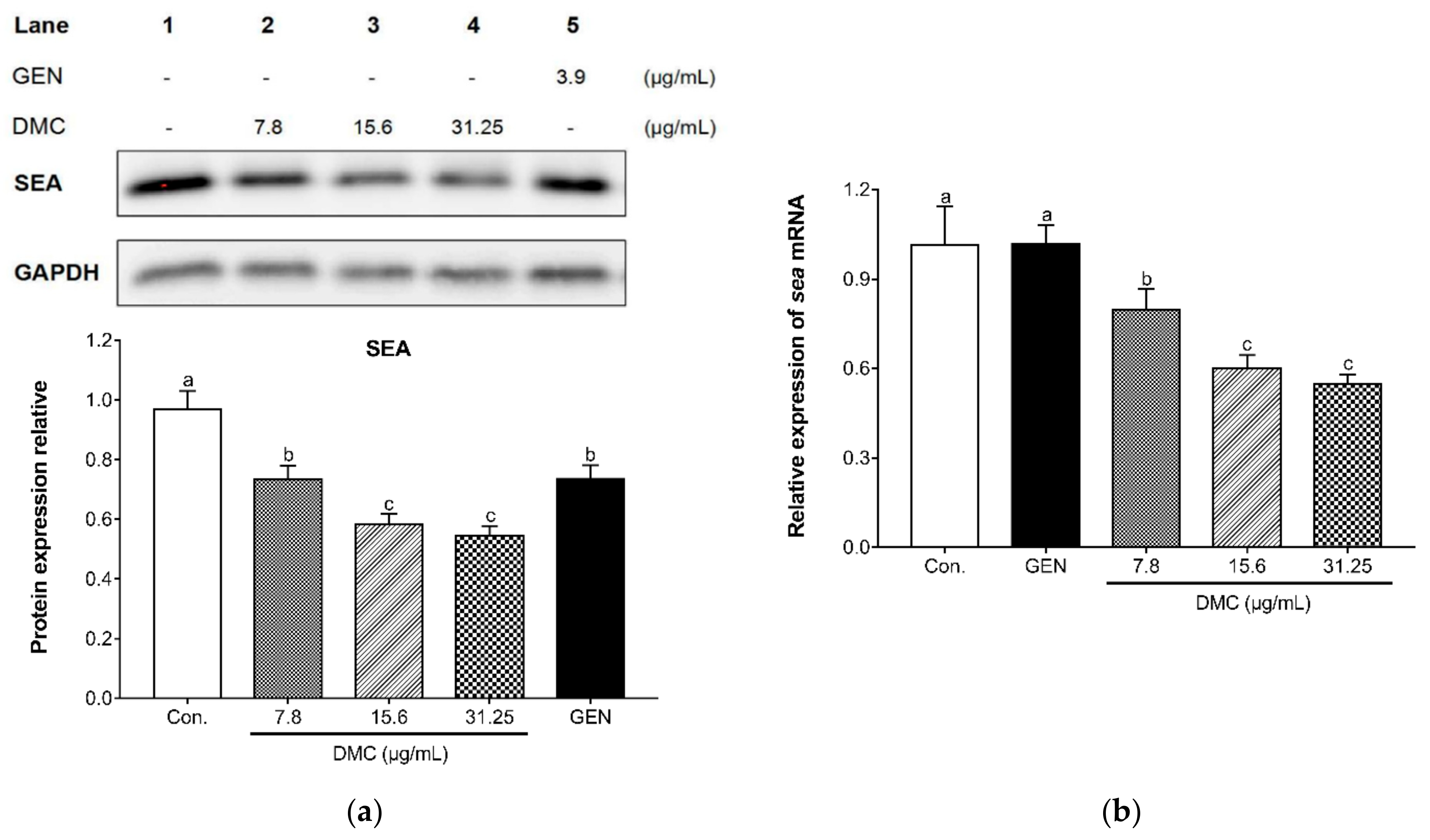 Ijms 22 03778 g006 Ijms 22 03778 g006