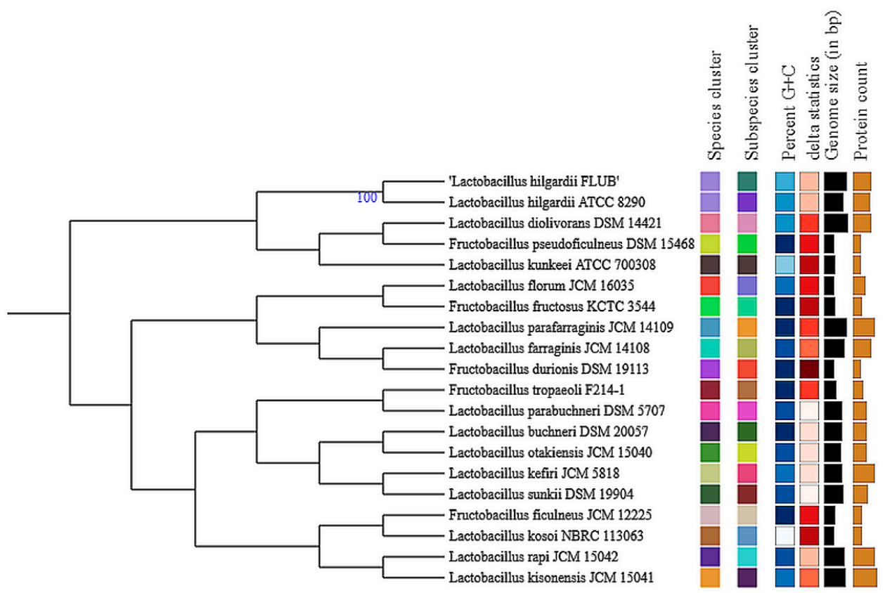 Ijms 22 03780 g002 Ijms 22 03780 g002