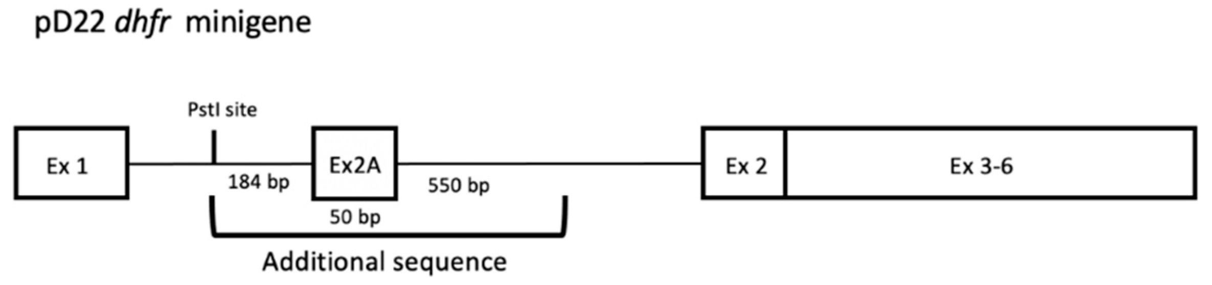 Ijms 22 03784 g001 Ijms 22 03784 g001