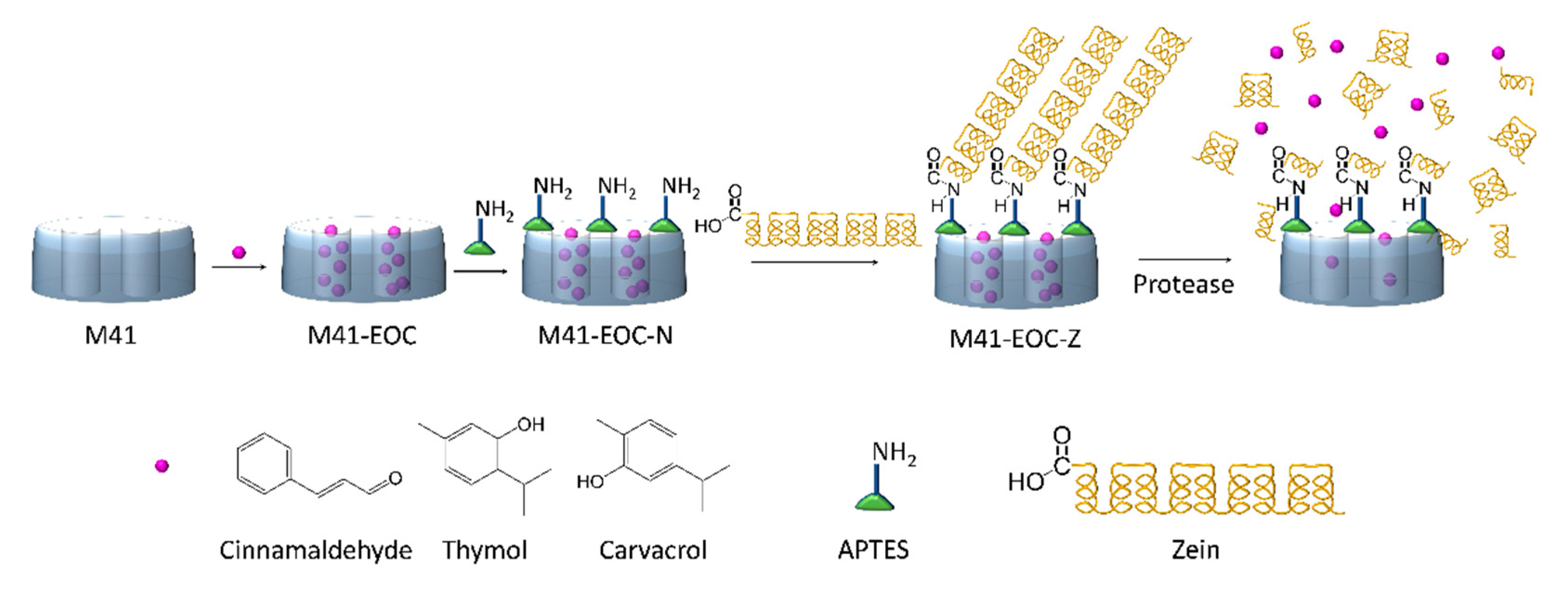 Ijms 22 03795 sch001 Ijms 22 03795 sch001