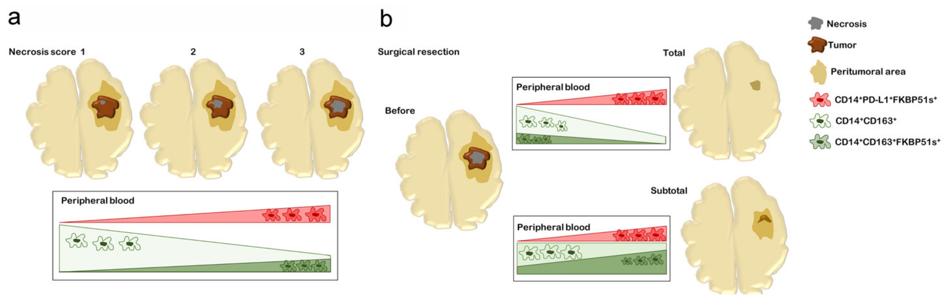 Ijms 22 03797 g005 Ijms 22 03797 g005