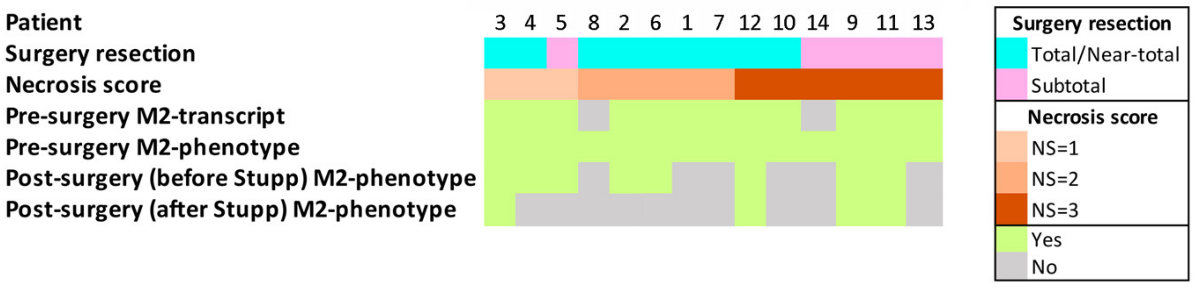 Ijms 22 03797 g006 Ijms 22 03797 g006