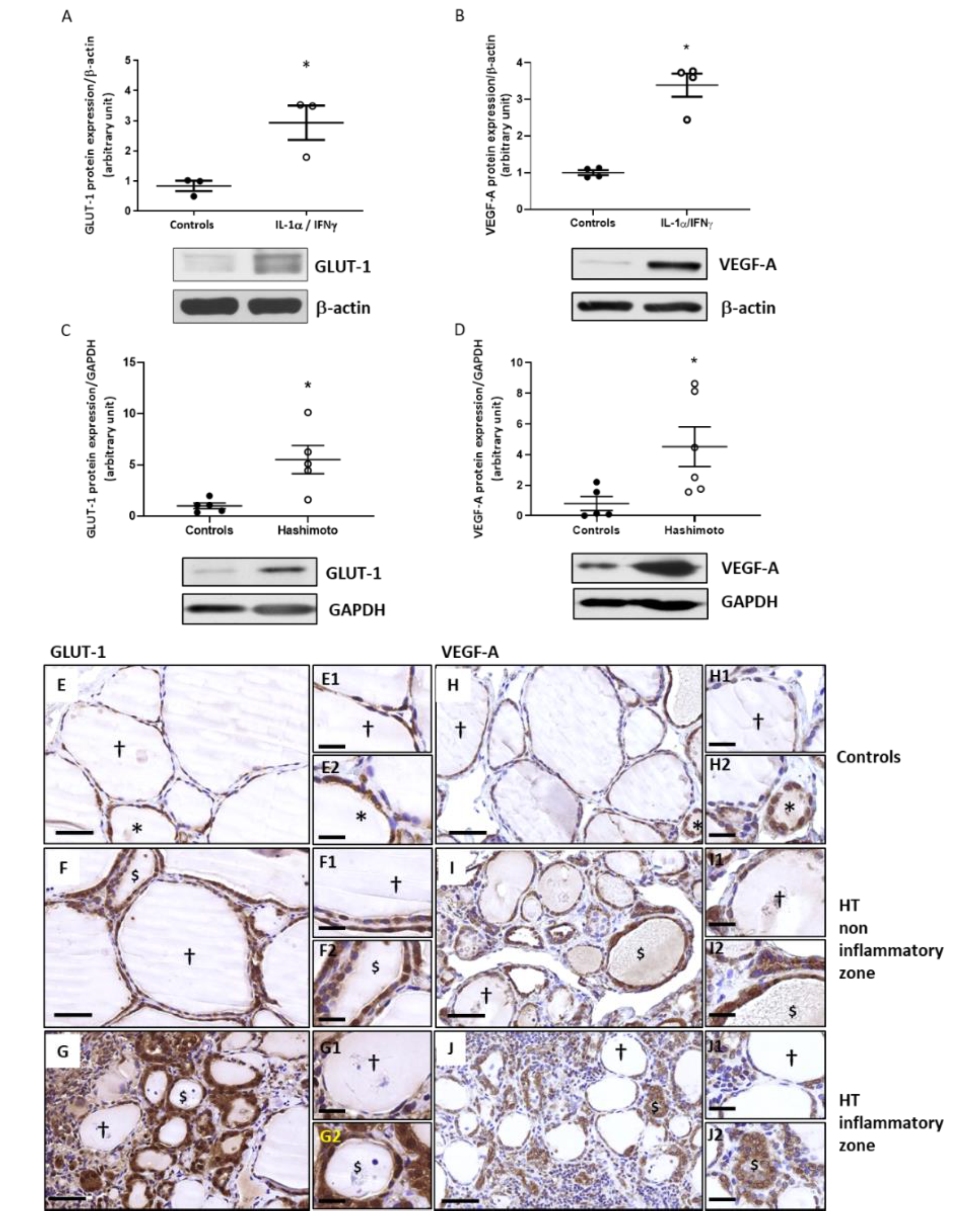 Ijms 22 03806 g006 Ijms 22 03806 g006