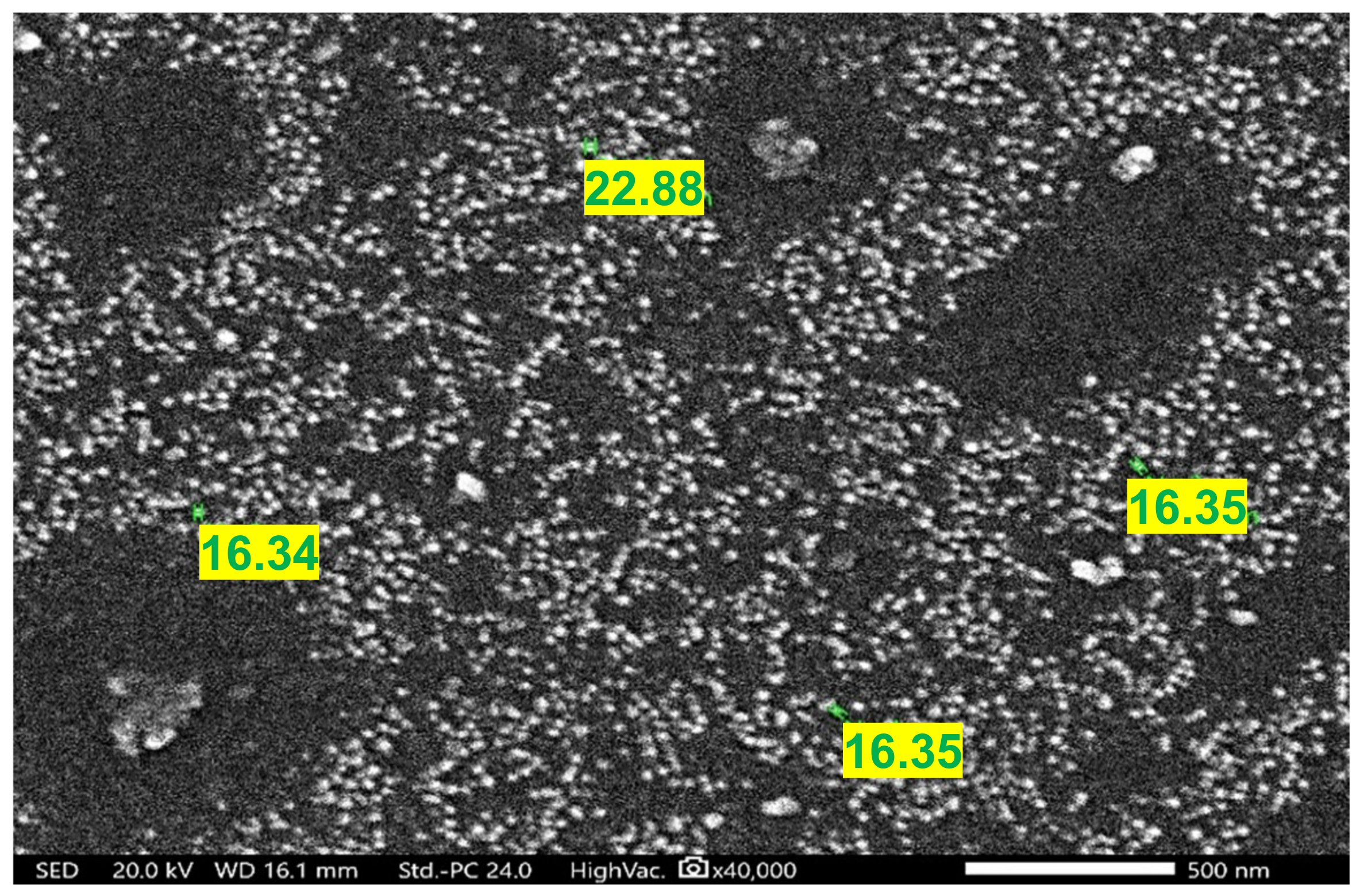 Ijms 22 03829 g001 Ijms 22 03829 g001