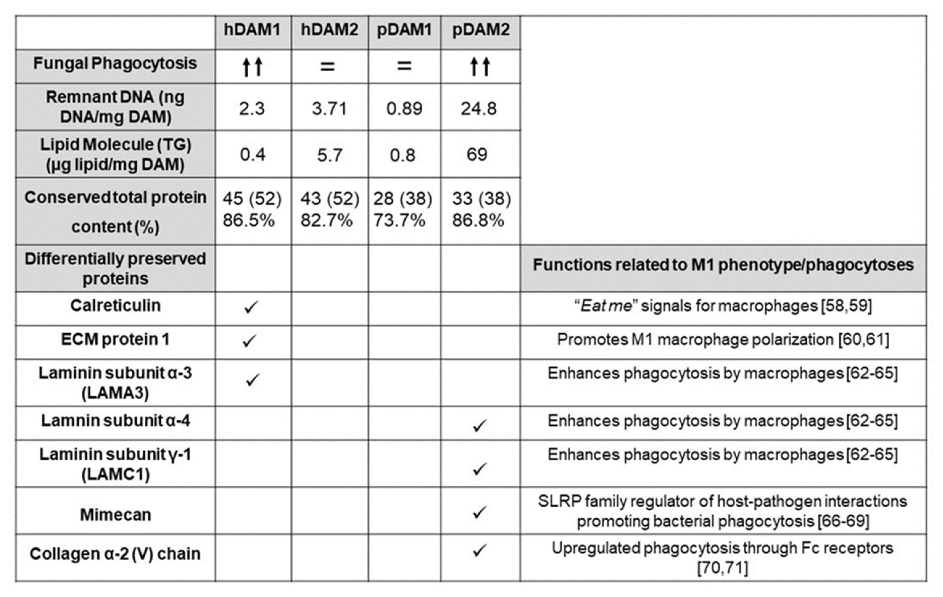 Ijms 22 03847 g007 Ijms 22 03847 g007