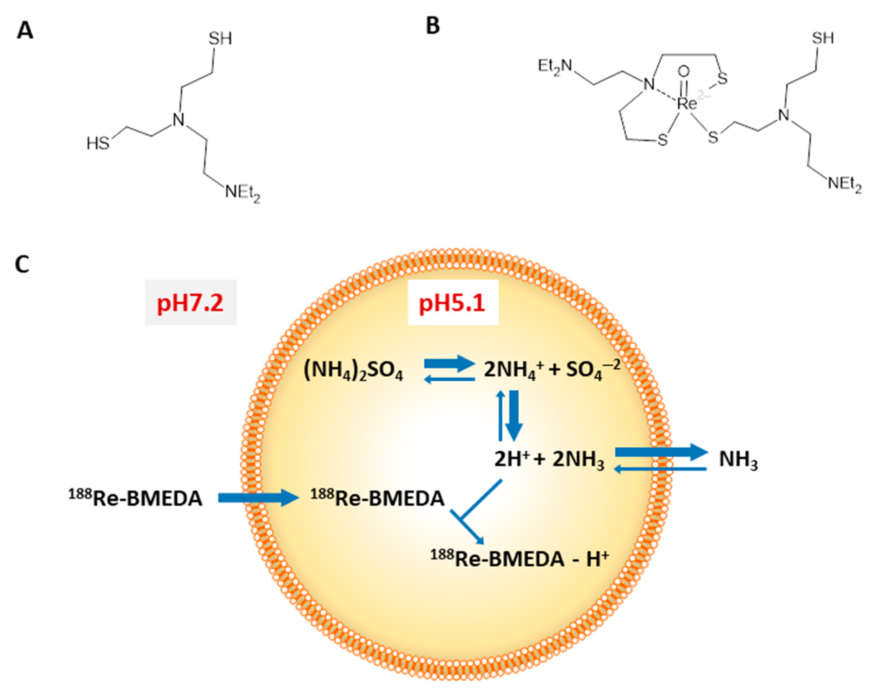 Ijms 22 03868 g002 Ijms 22 03868 g002